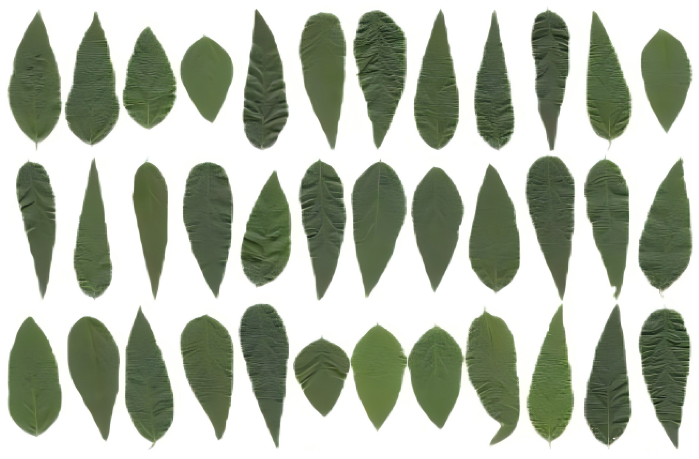 Symmetry 17 01049 g010