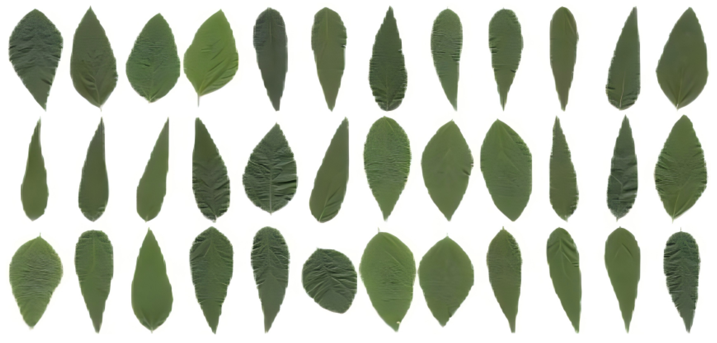 Symmetry 17 01049 g011