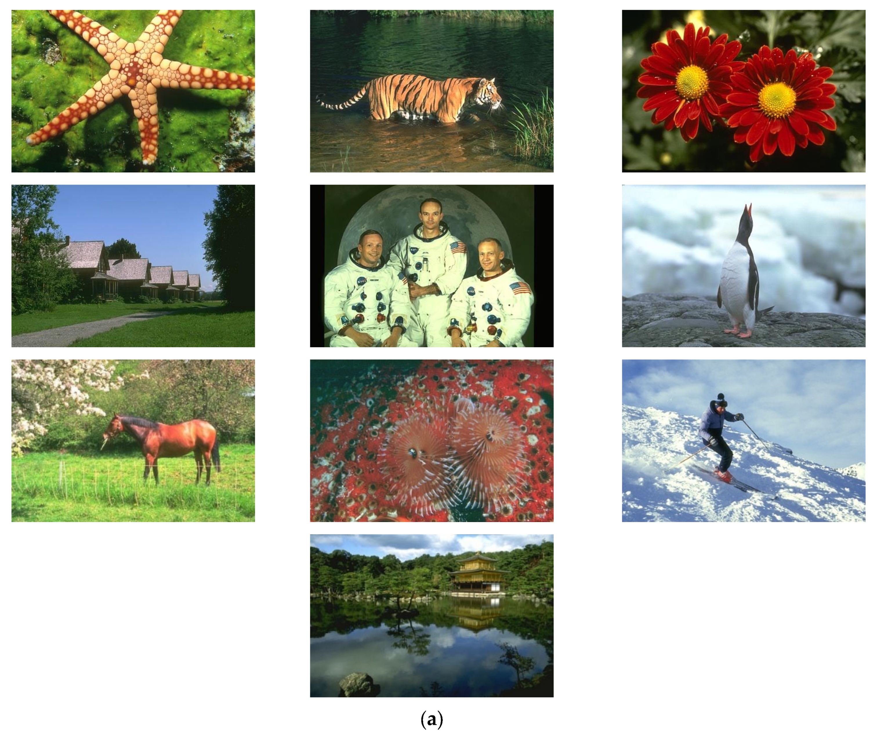 Symmetry 17 01066 g002a