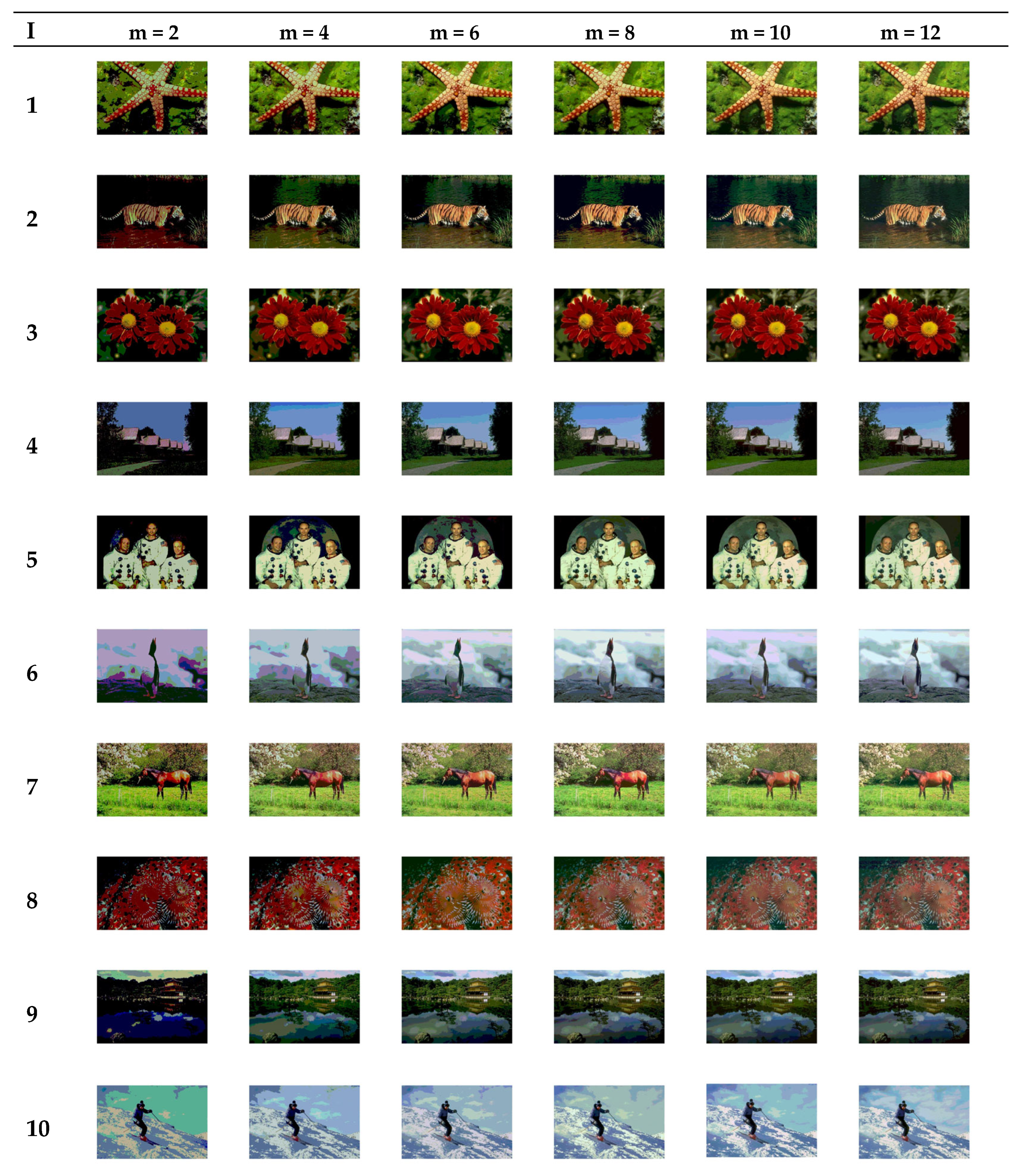 Symmetry 17 01066 g009