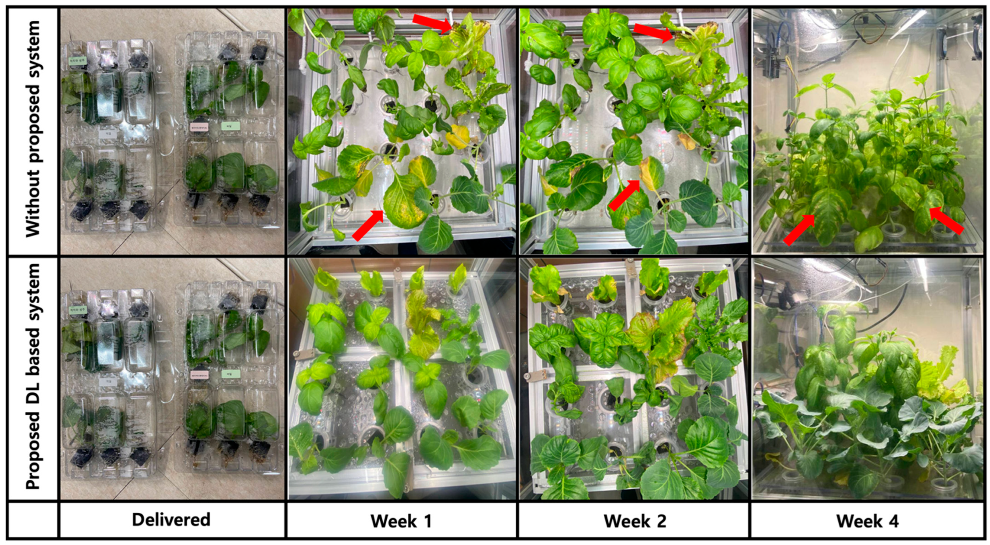 Symmetry 17 01092 g010