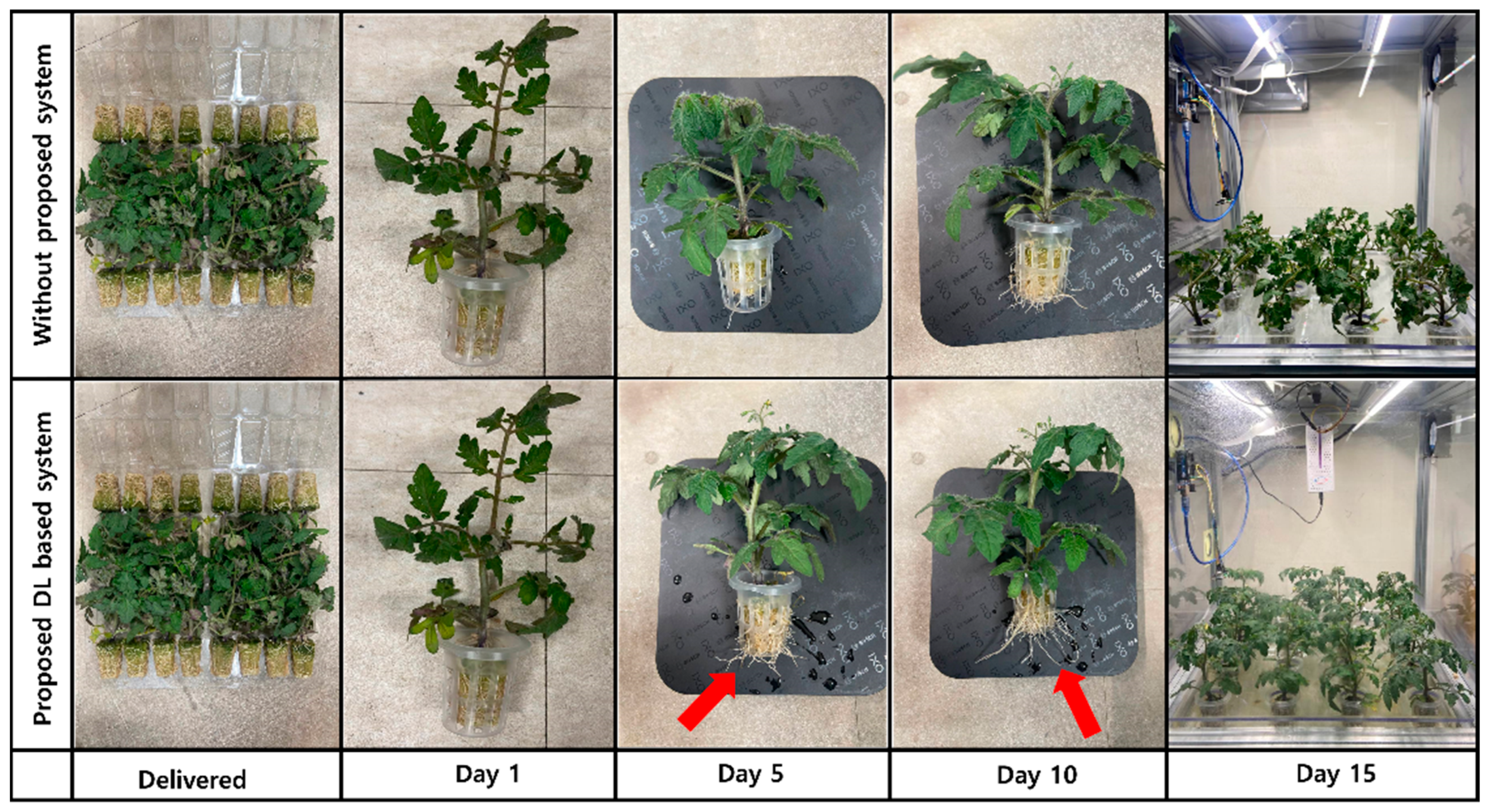 Symmetry 17 01092 g012