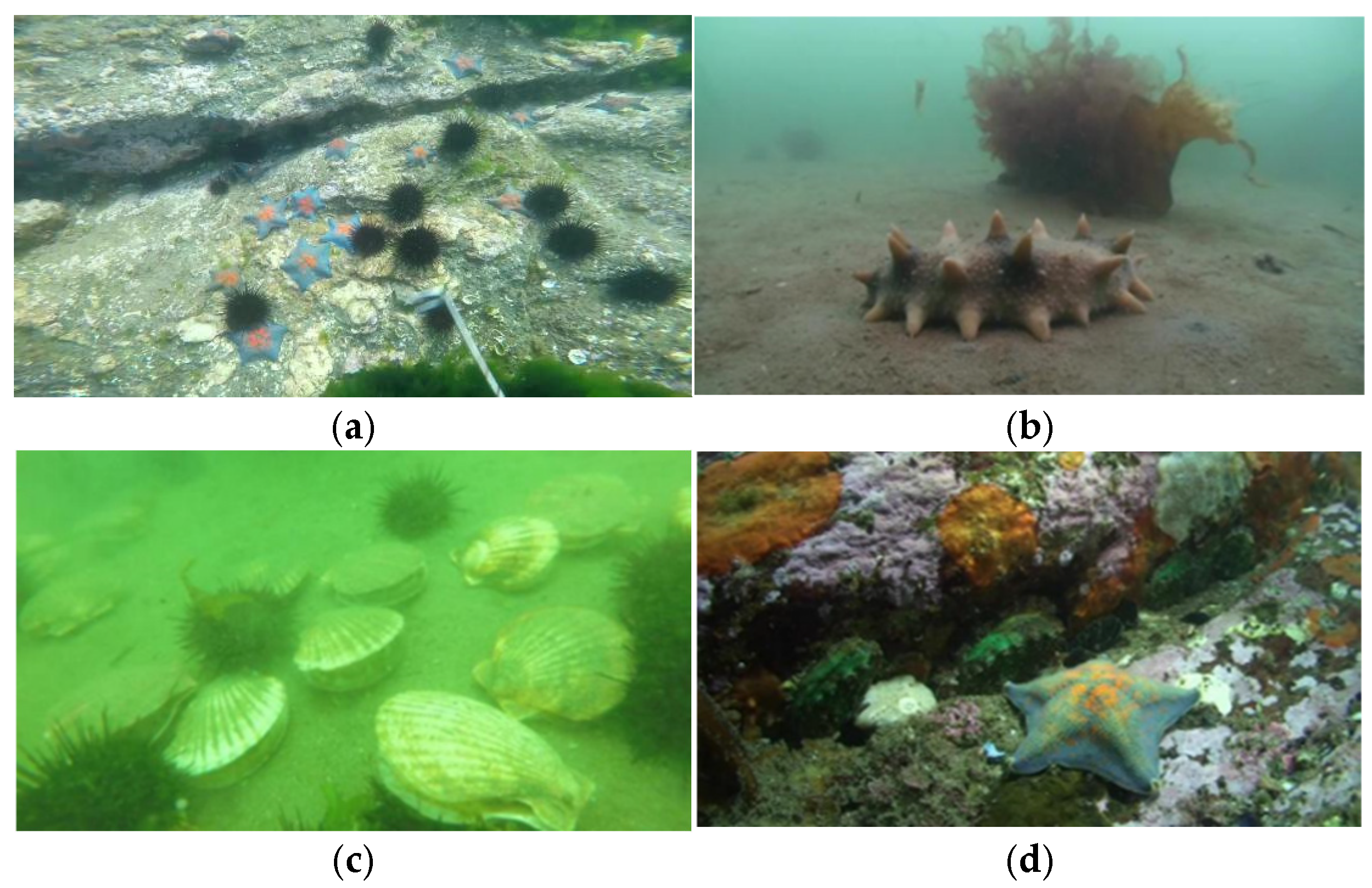 Symmetry 17 01102 g013