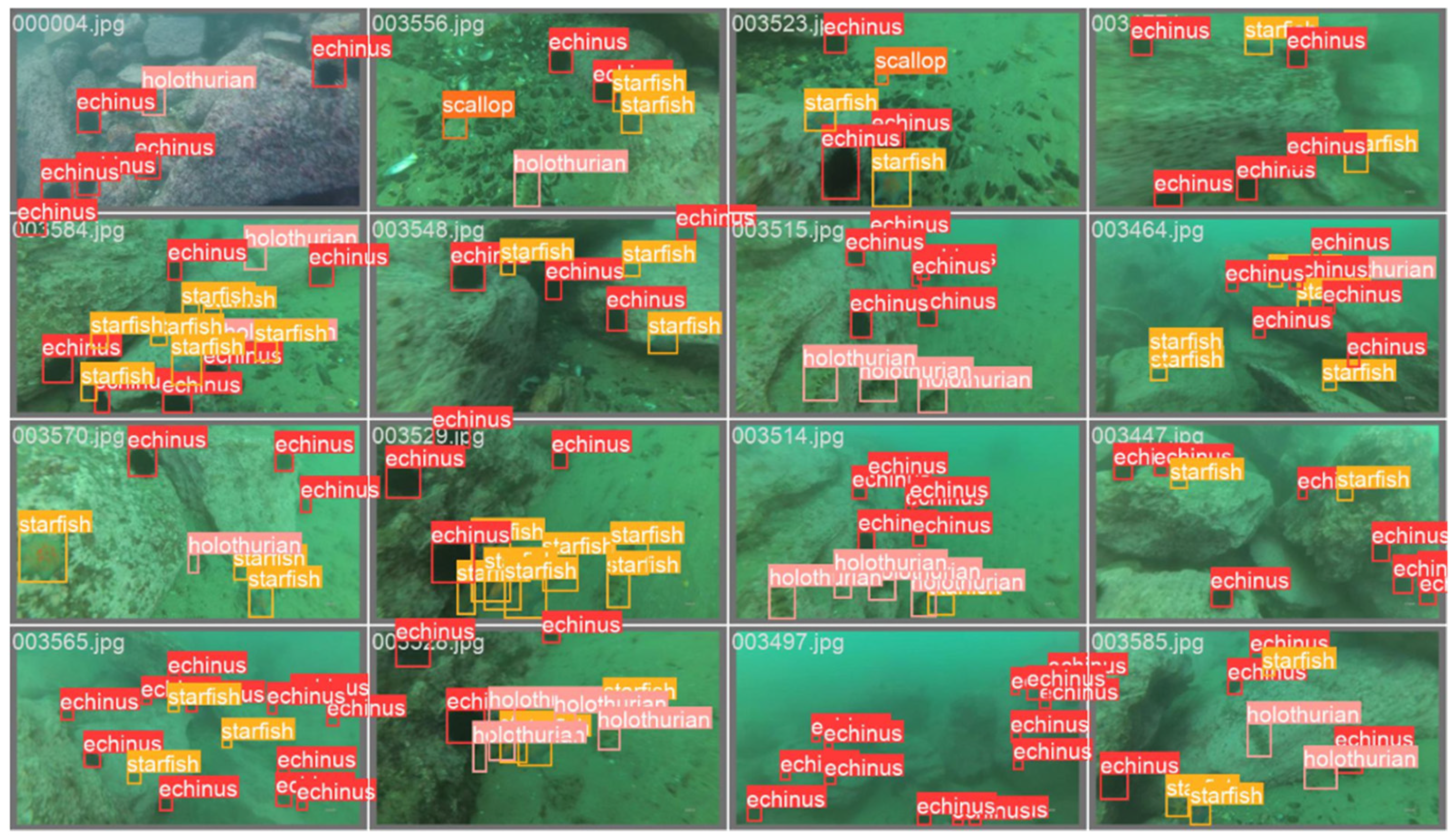 Symmetry 17 01102 g017