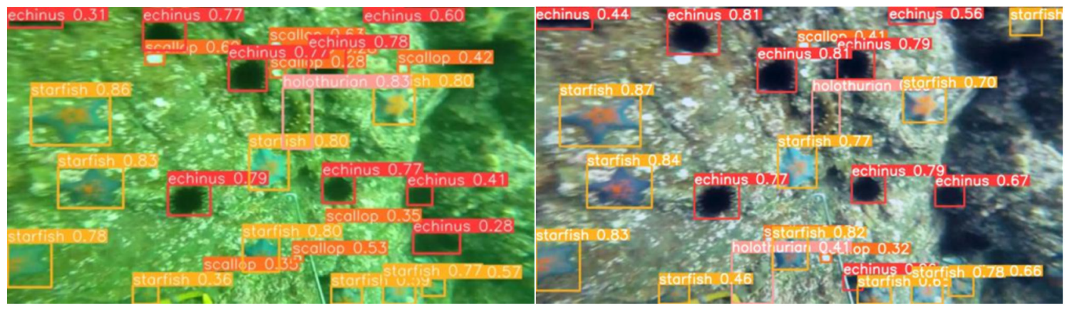 Symmetry 17 01102 g021