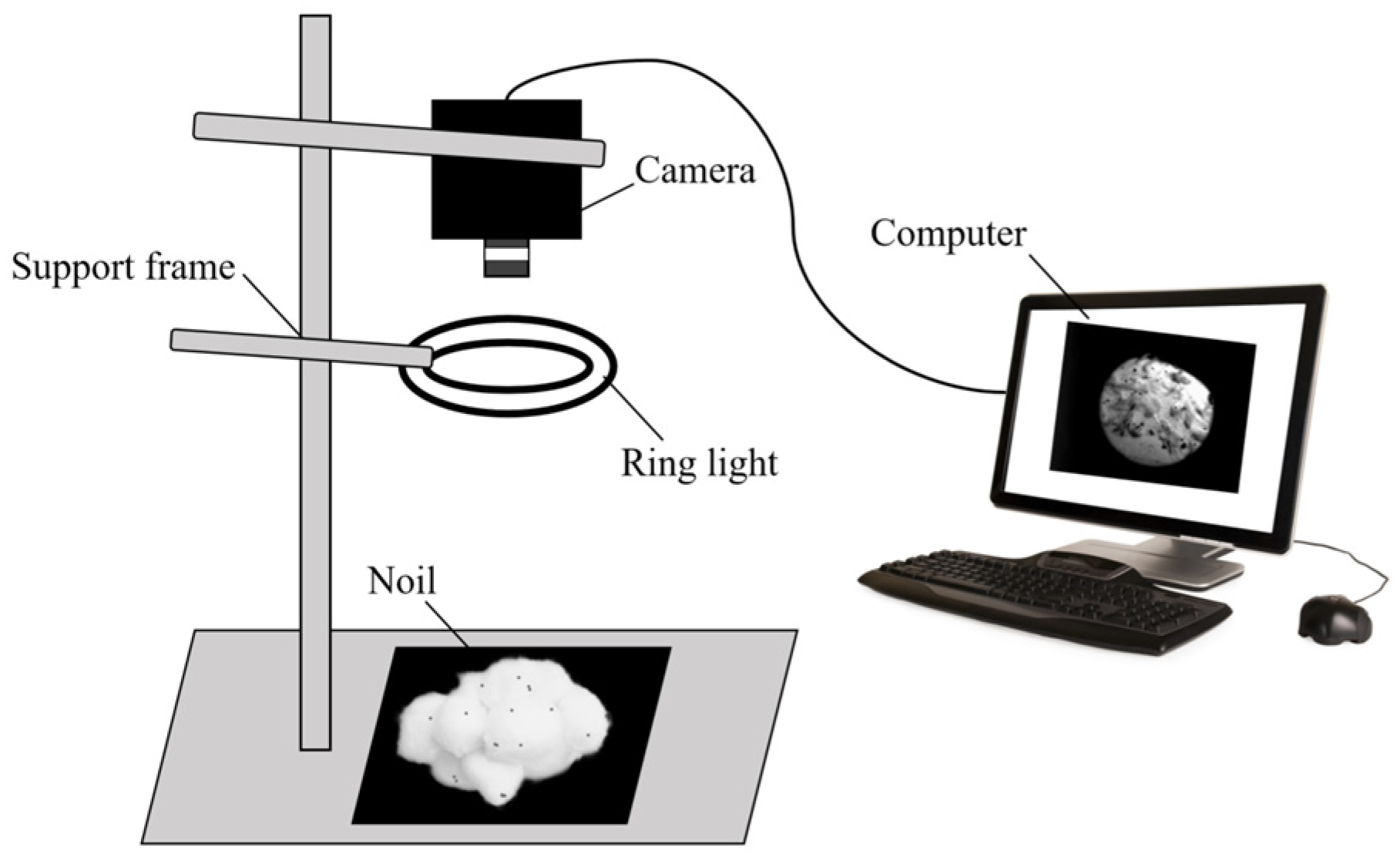 Symmetry 17 01185 g003
