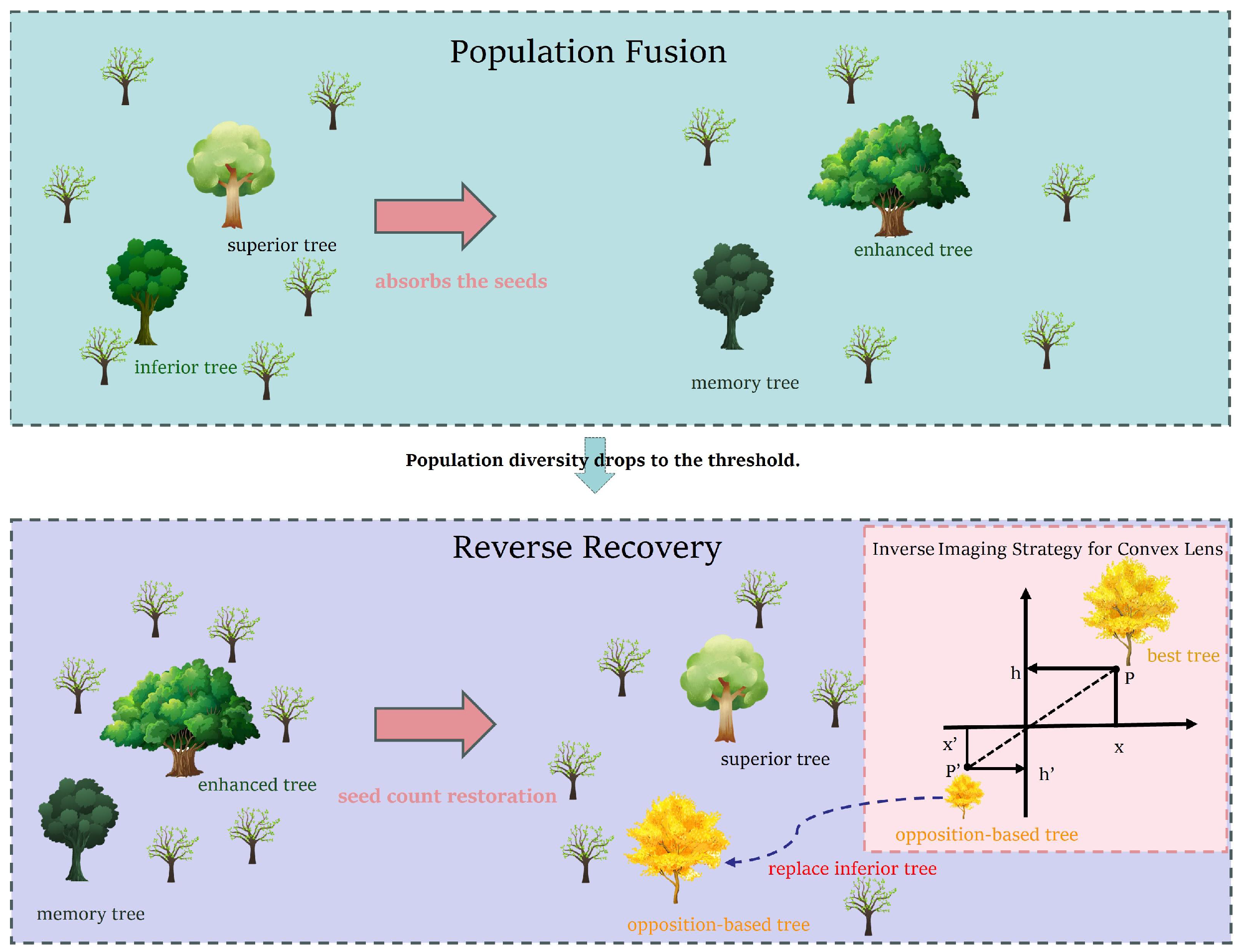 Symmetry 17 01200 g003