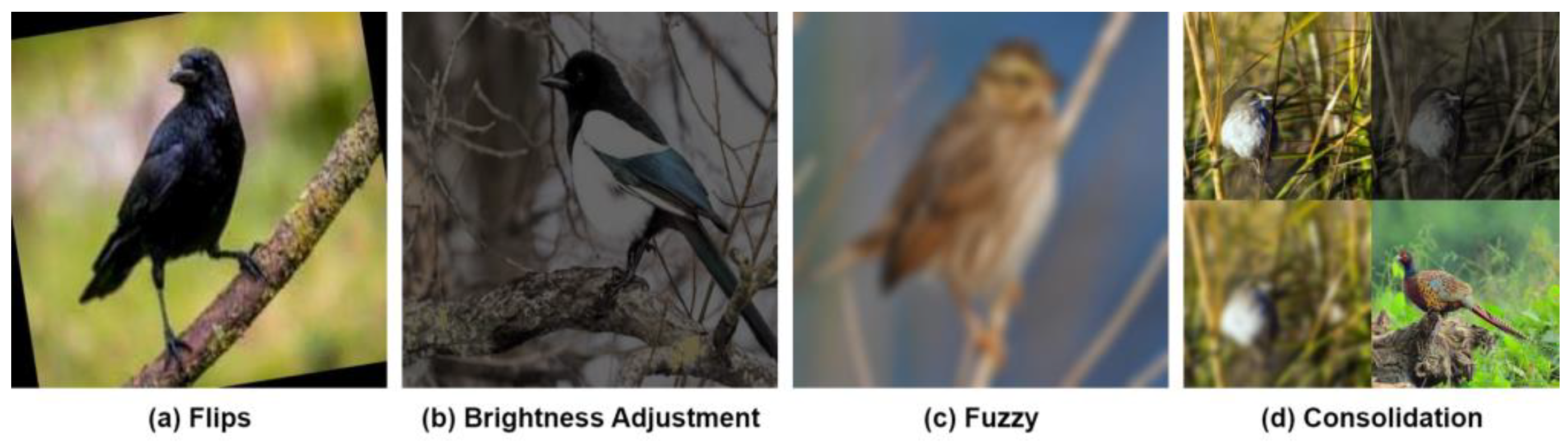 Symmetry 17 01210 g002