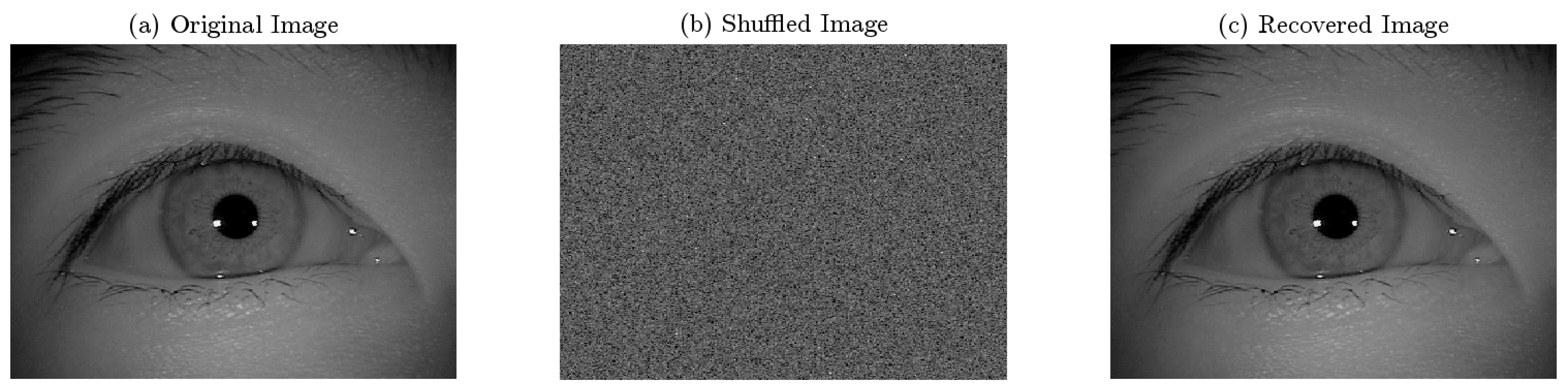 Symmetry 17 01231 g006