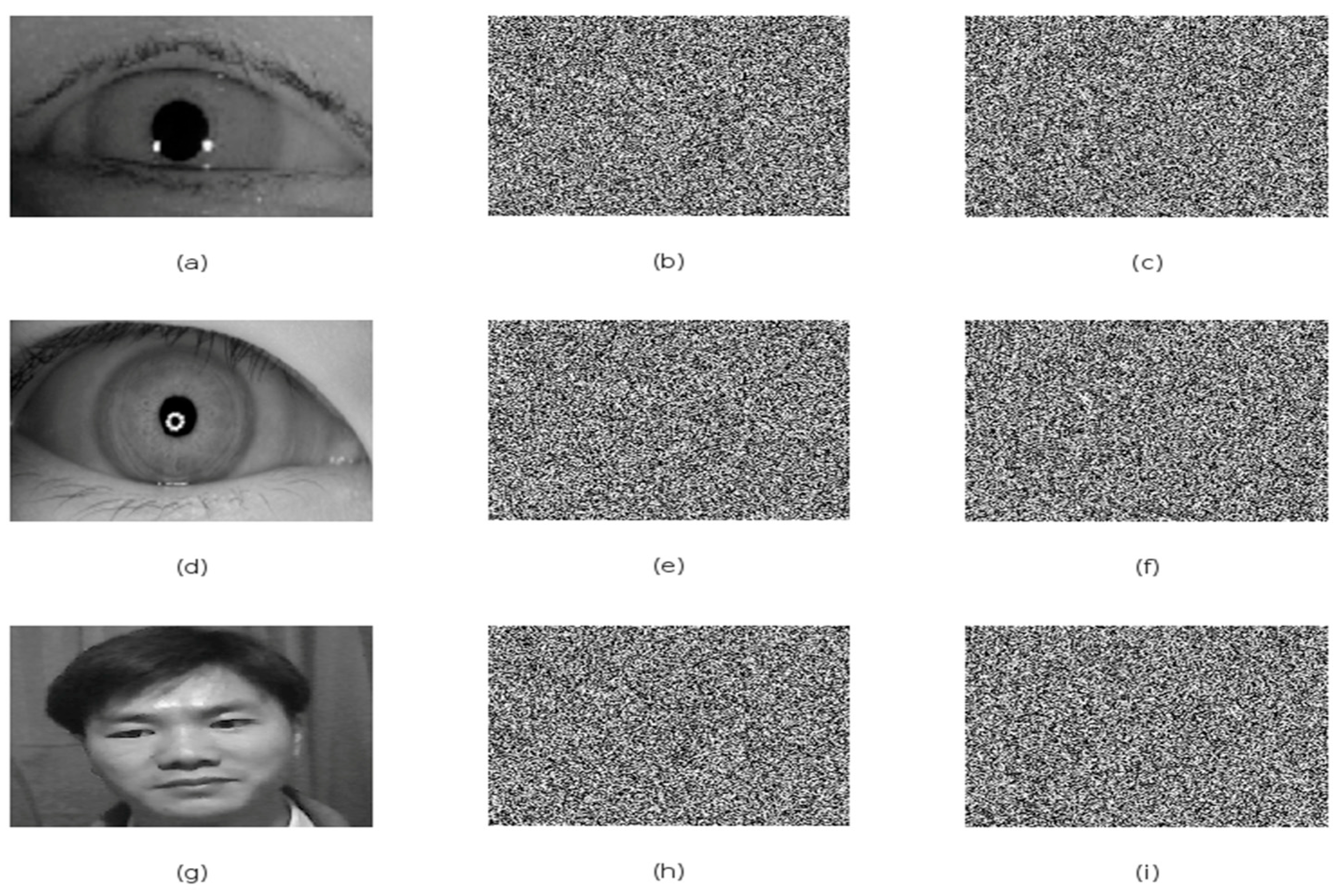 Symmetry 17 01231 g007