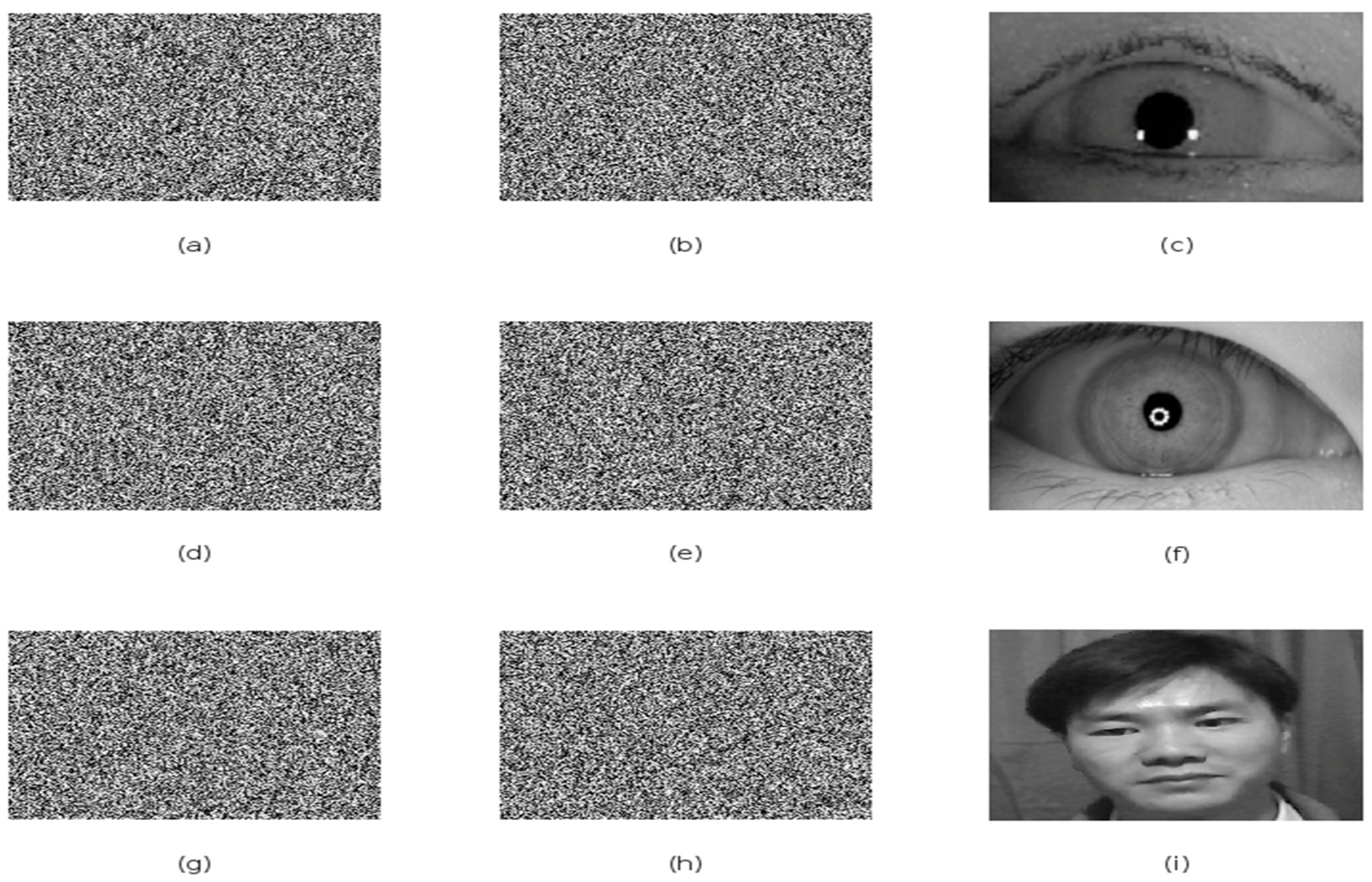 Symmetry 17 01231 g008