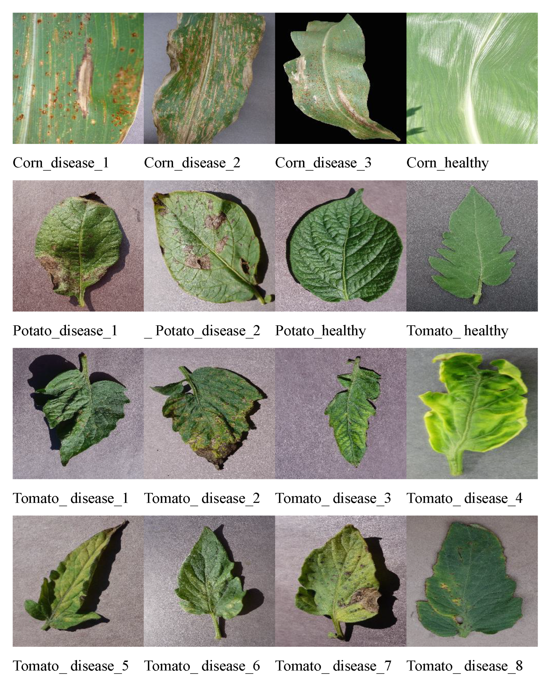 Symmetry 17 01232 g003