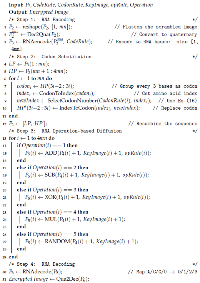Symmetry 17 01255 i002