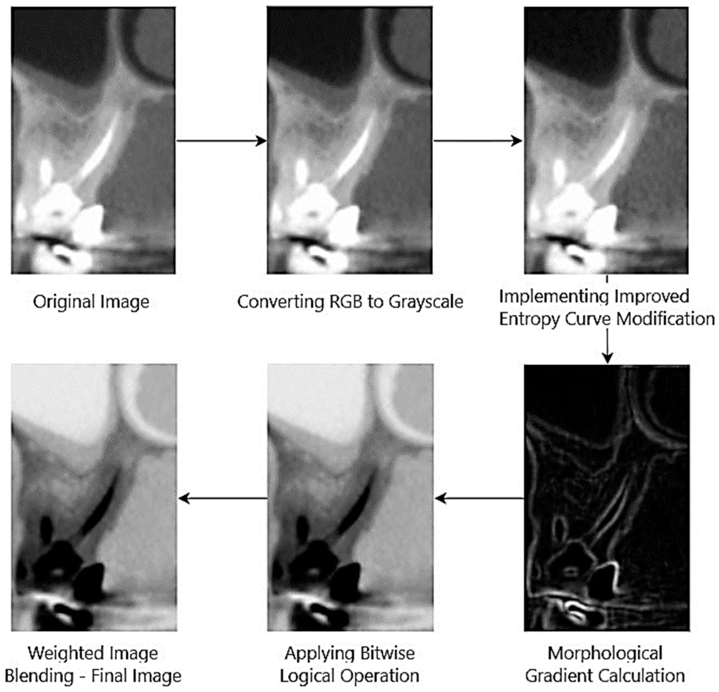 Symmetry 17 01392 g002