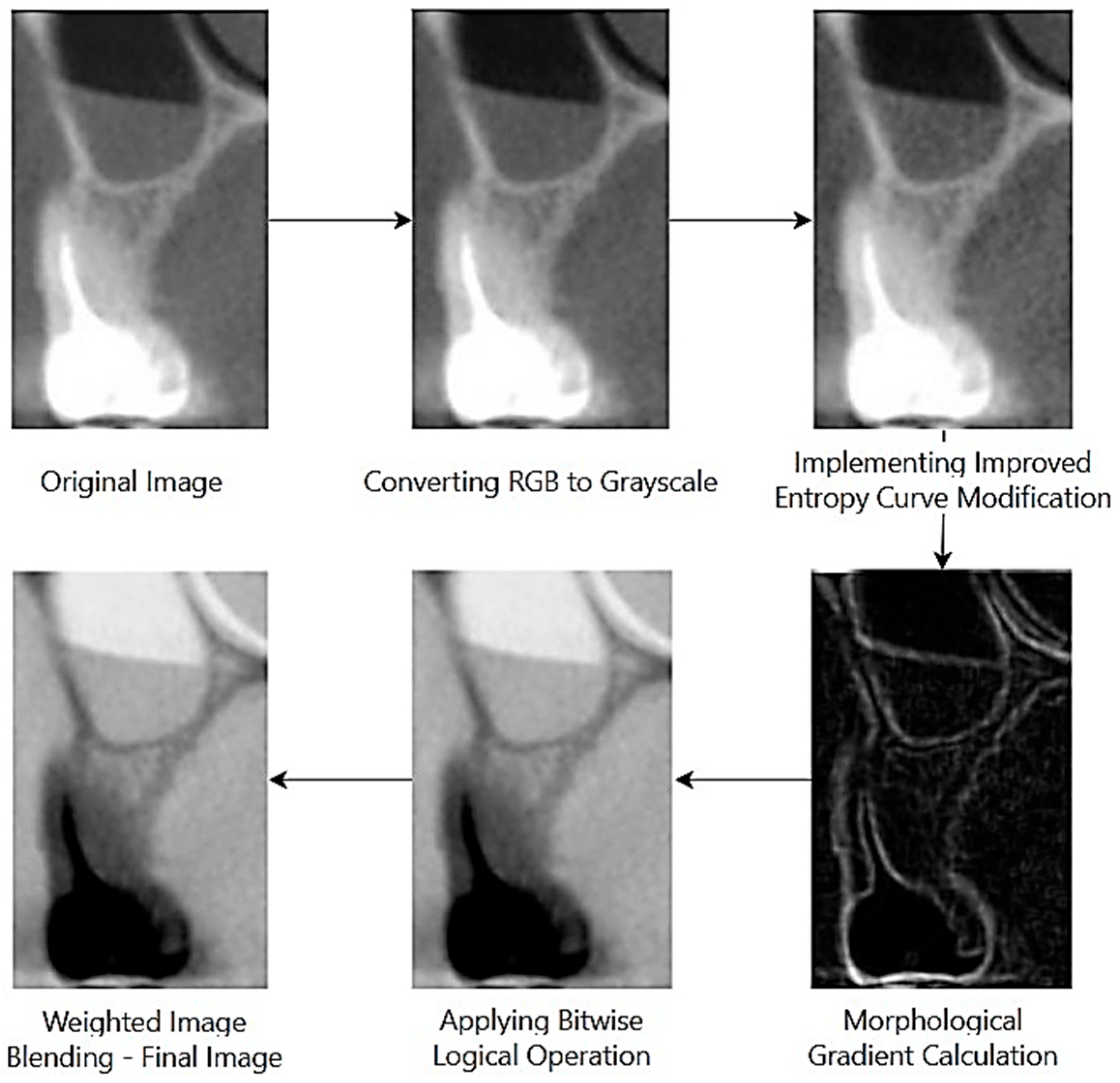 Symmetry 17 01392 g003