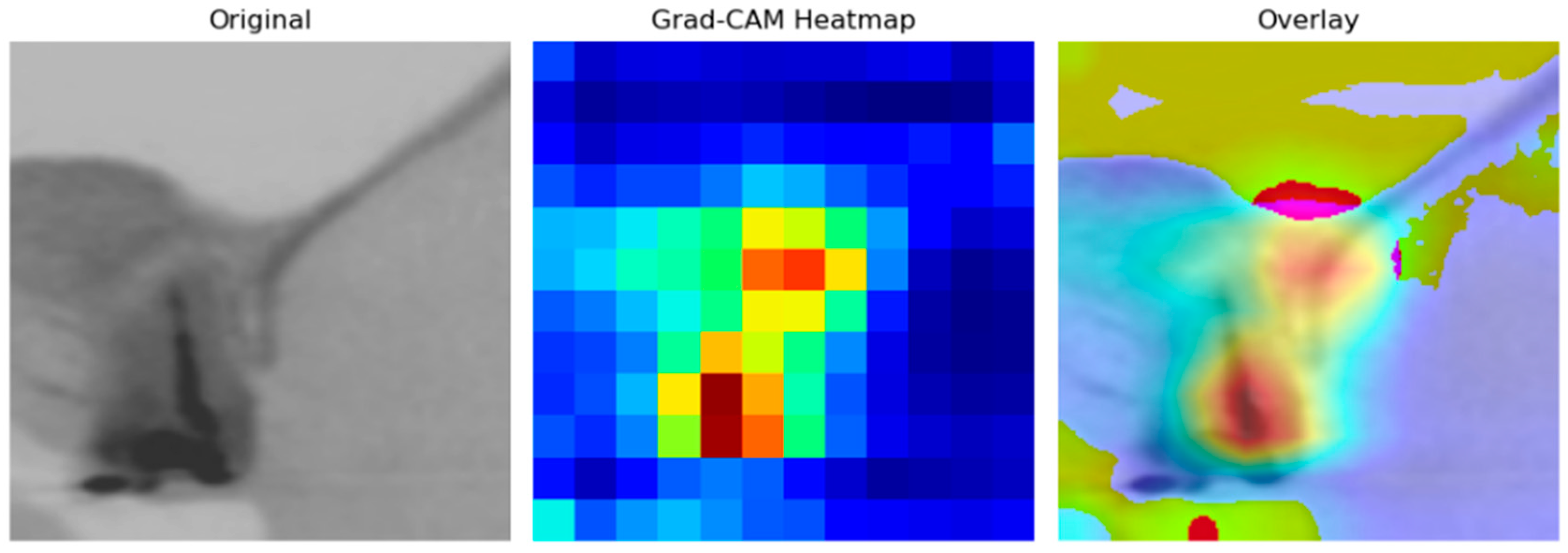 Symmetry 17 01392 g006