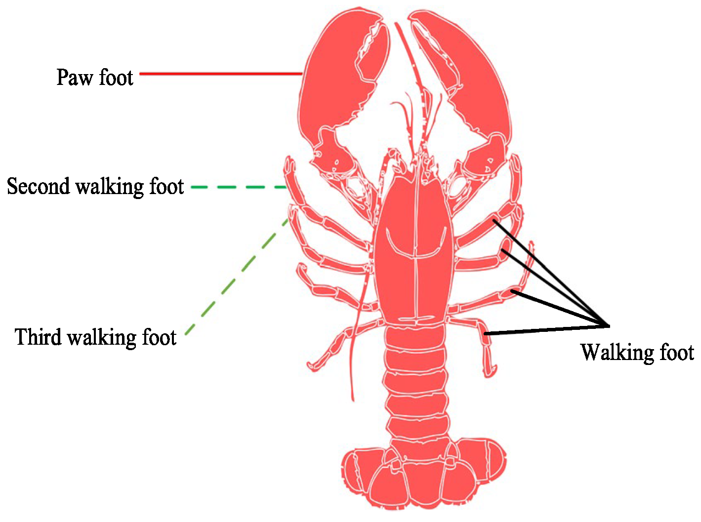 Symmetry 17 01396 g008