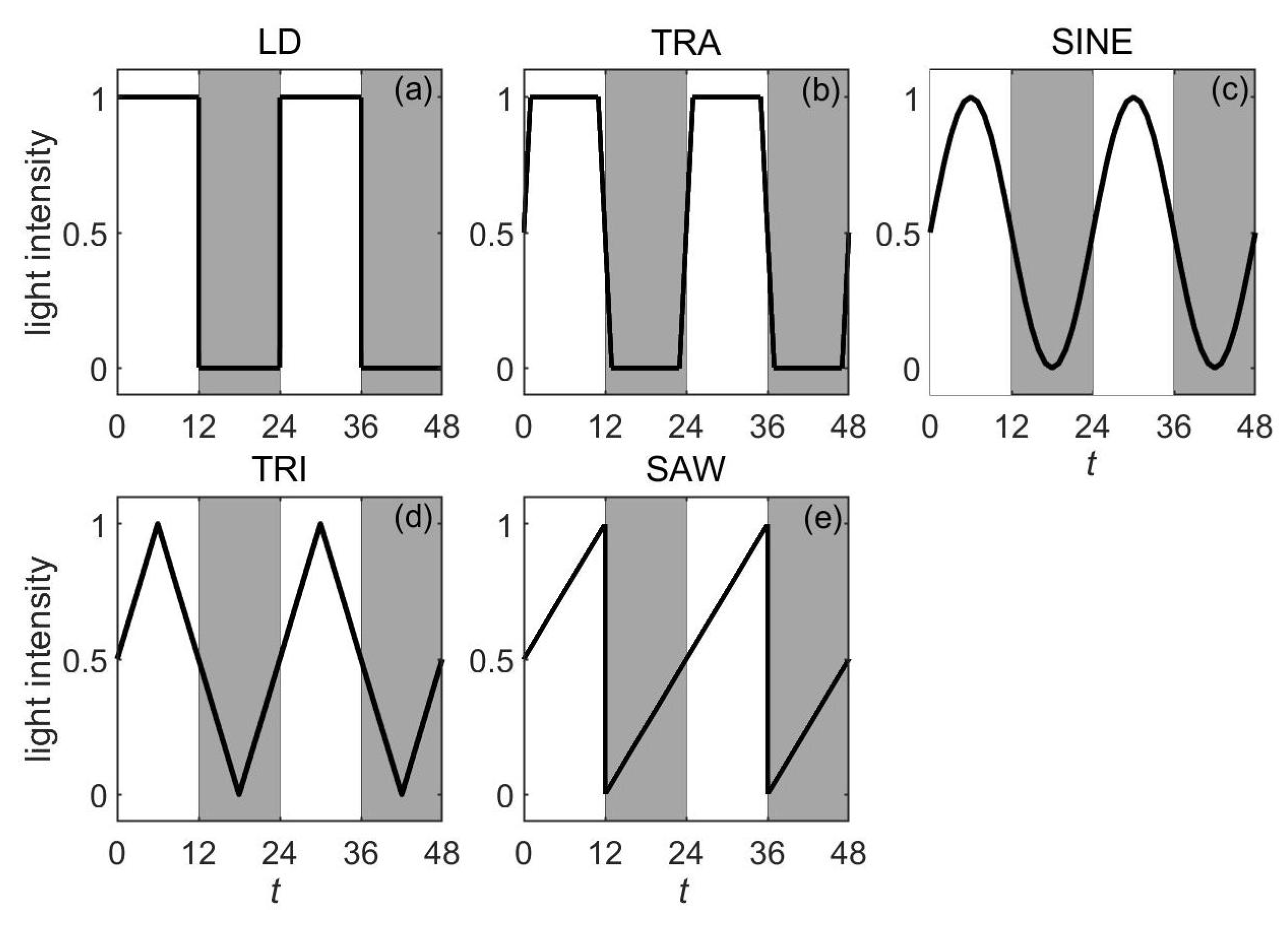 Symmetry 17 01418 g003