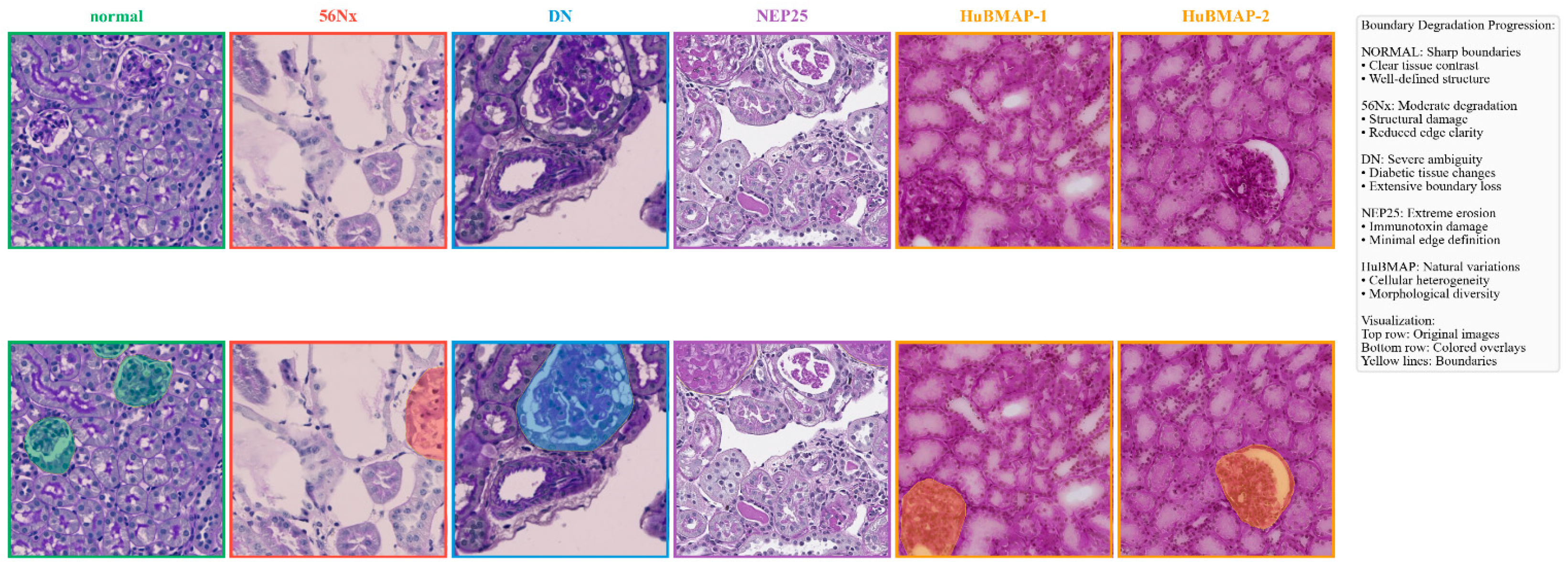 Symmetry 17 01506 g006