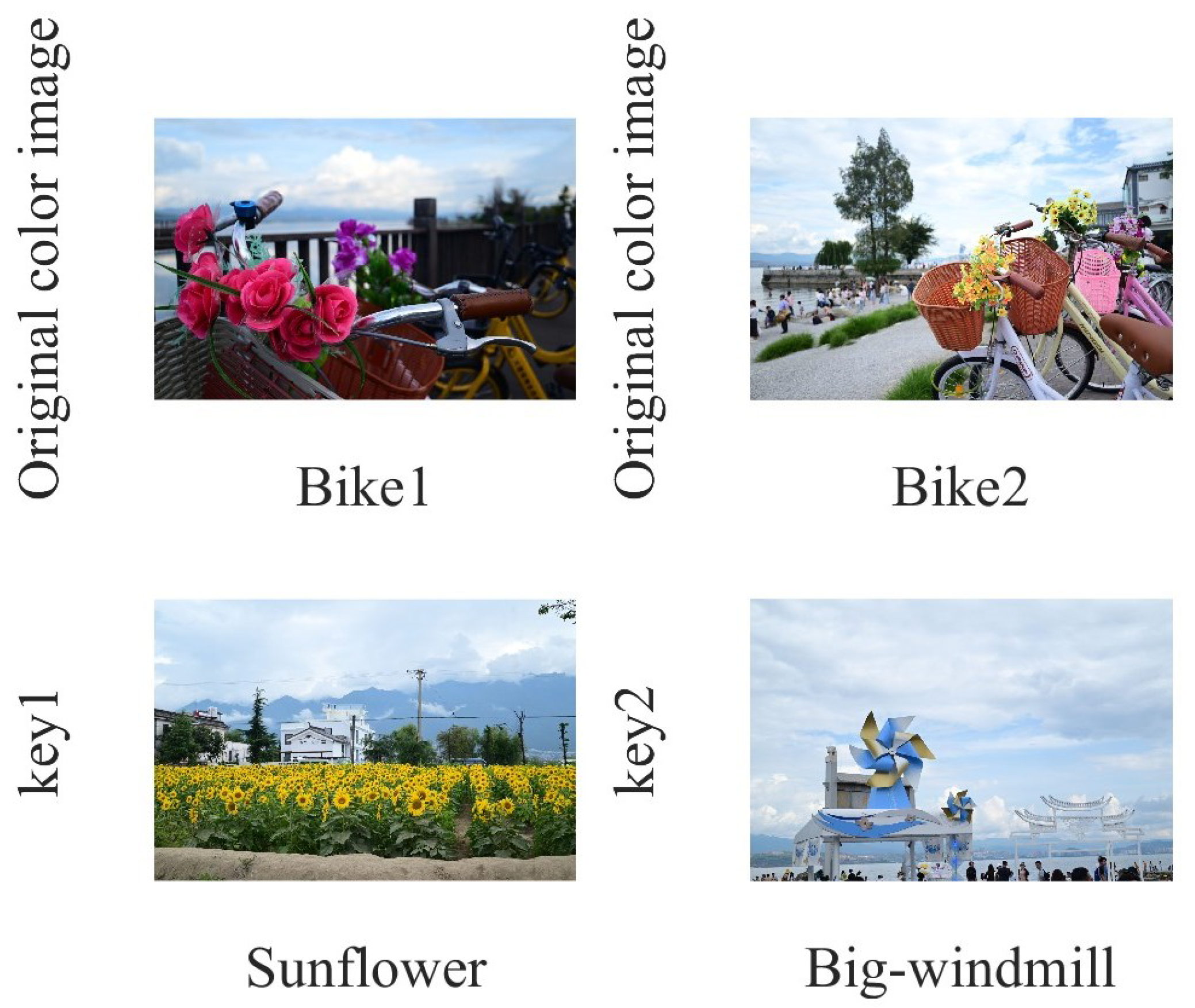 Symmetry 17 01686 g003