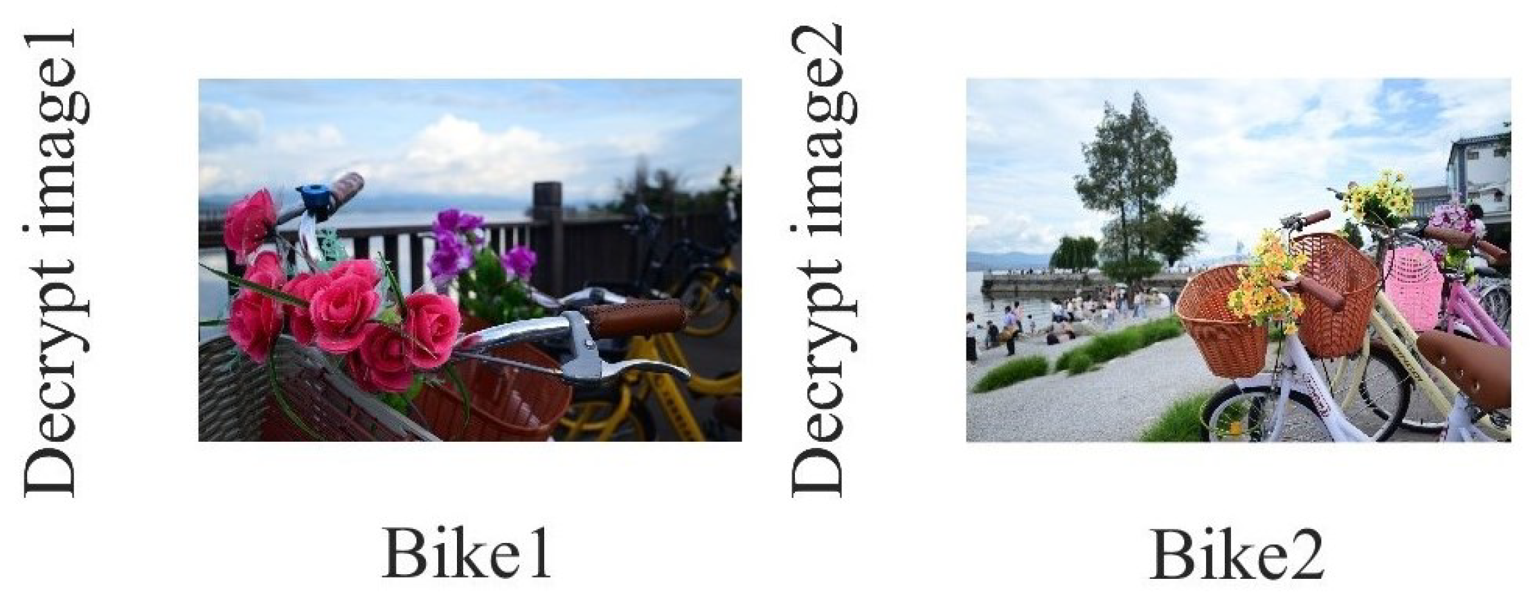 Symmetry 17 01686 g005