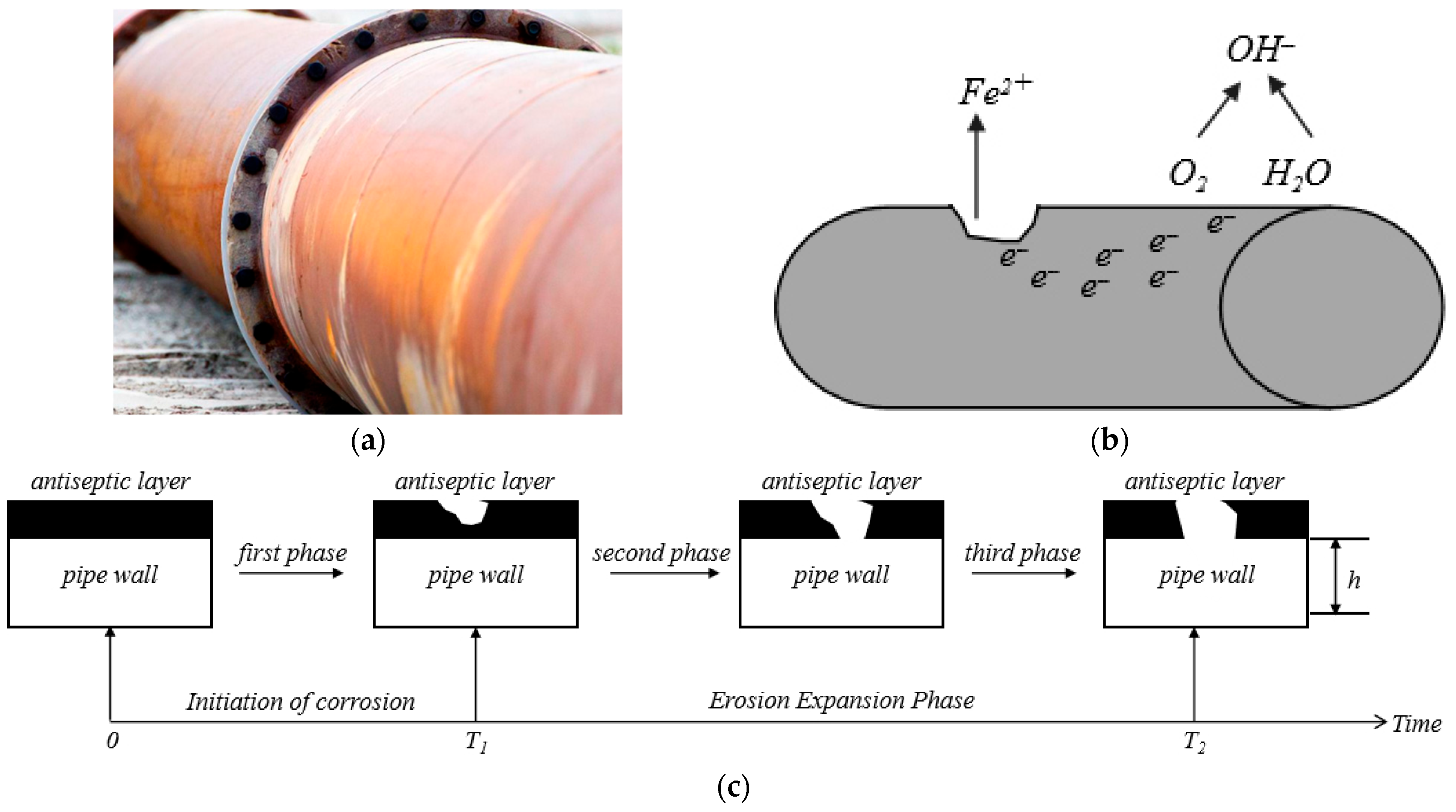Symmetry 17 01689 g003