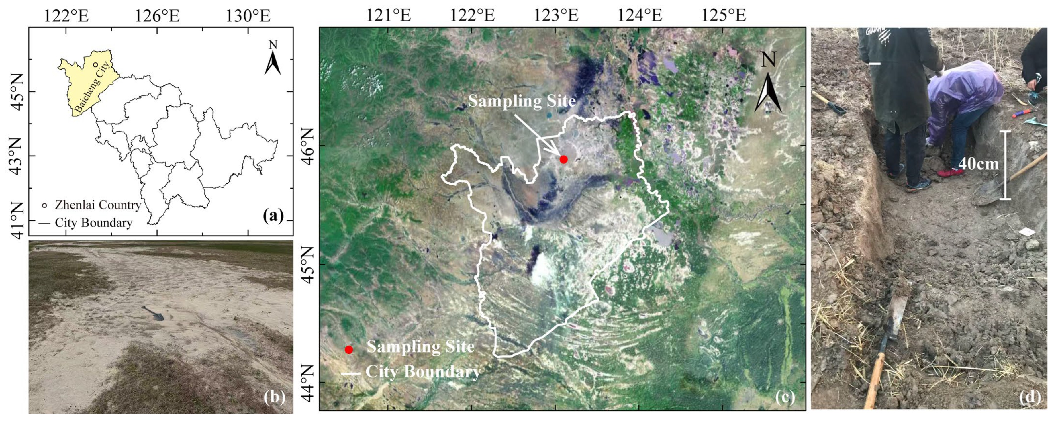 Symmetry 17 01691 g002 Symmetry 17 01691 g002