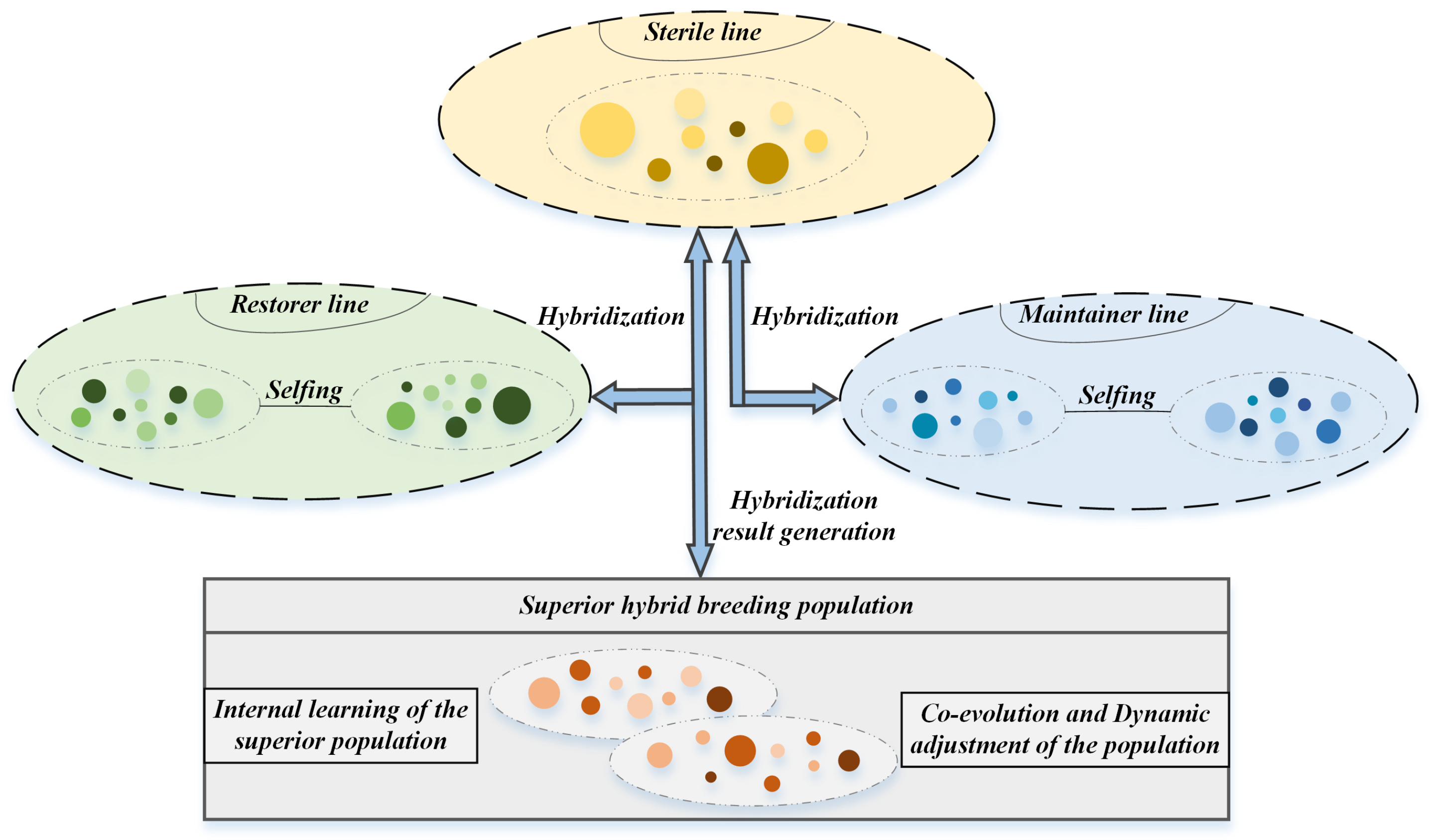 Symmetry 17 01735 g001