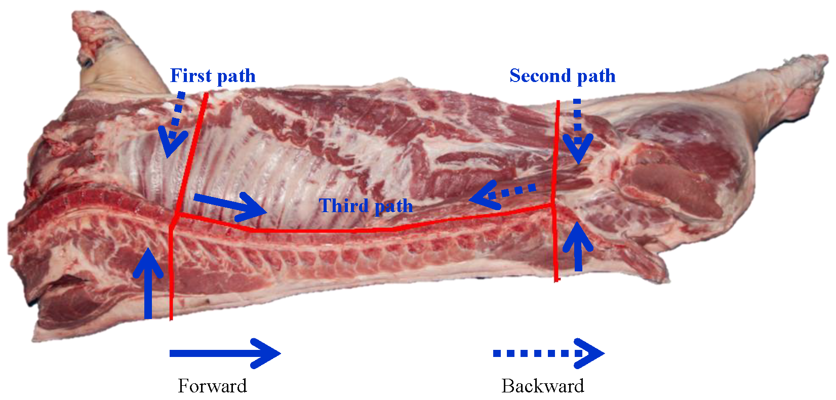 Symmetry 17 01757 g005