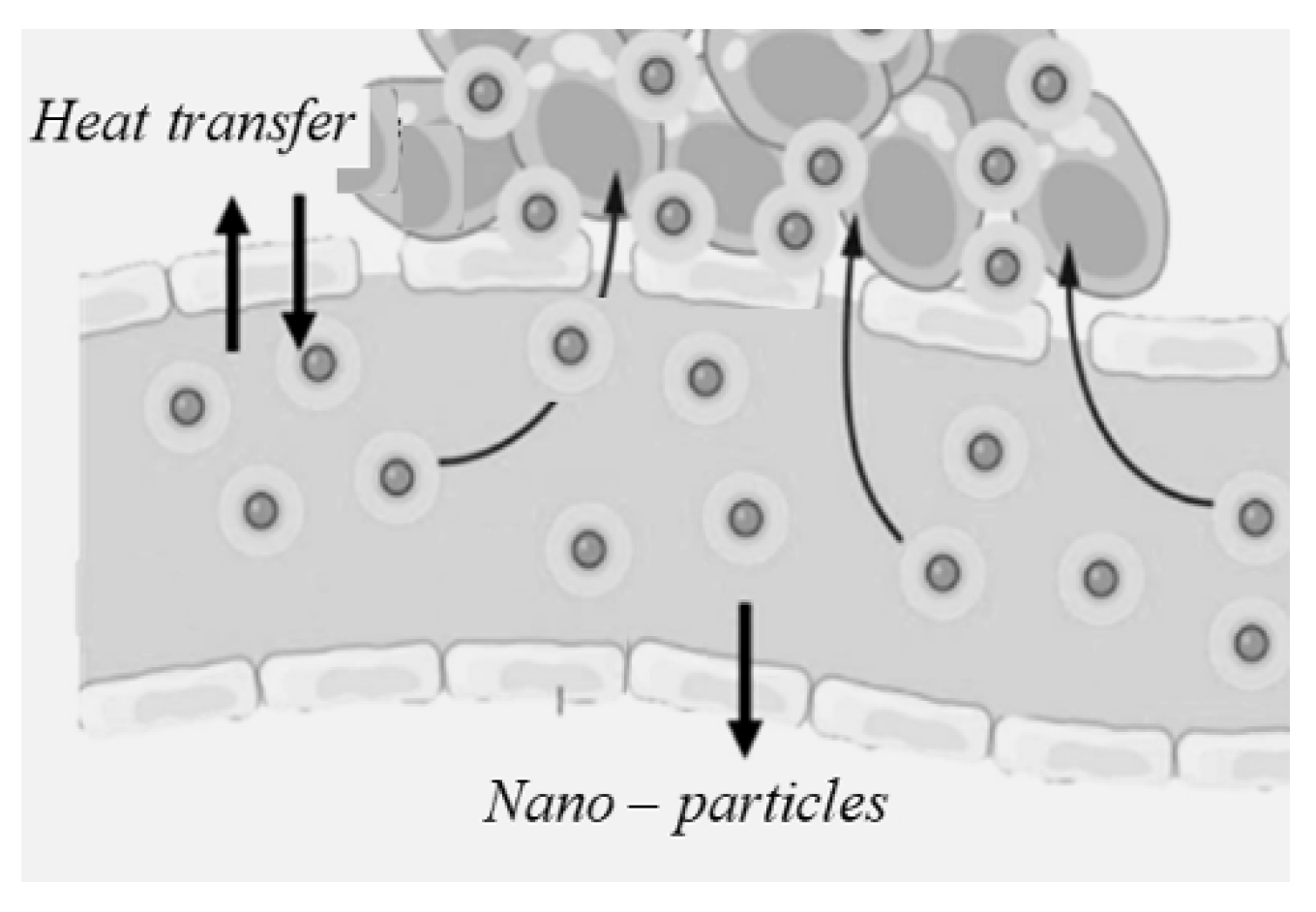Symmetry 17 01854 g002