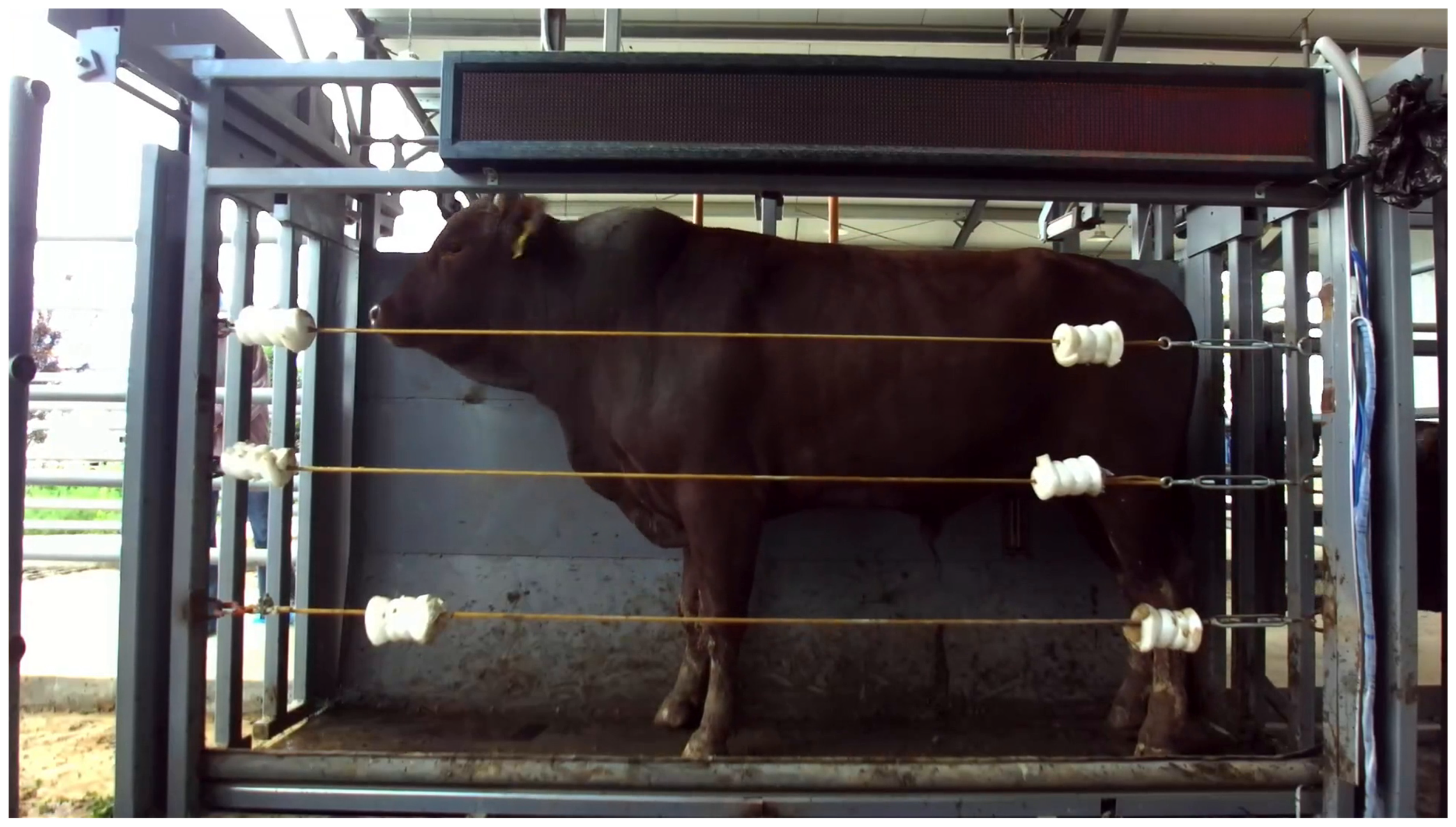 Symmetry 17 01926 g001