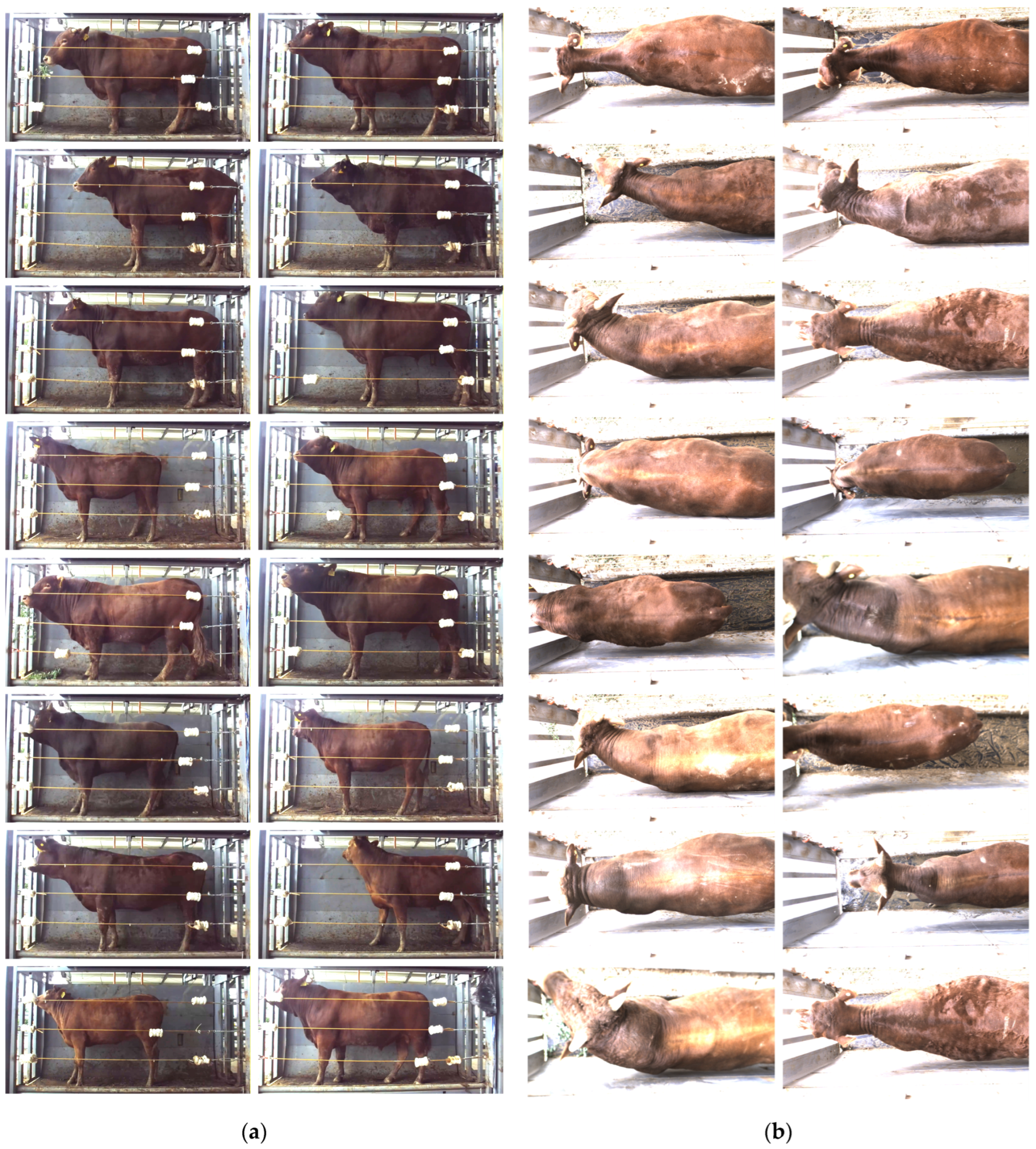 Symmetry 17 01926 g002