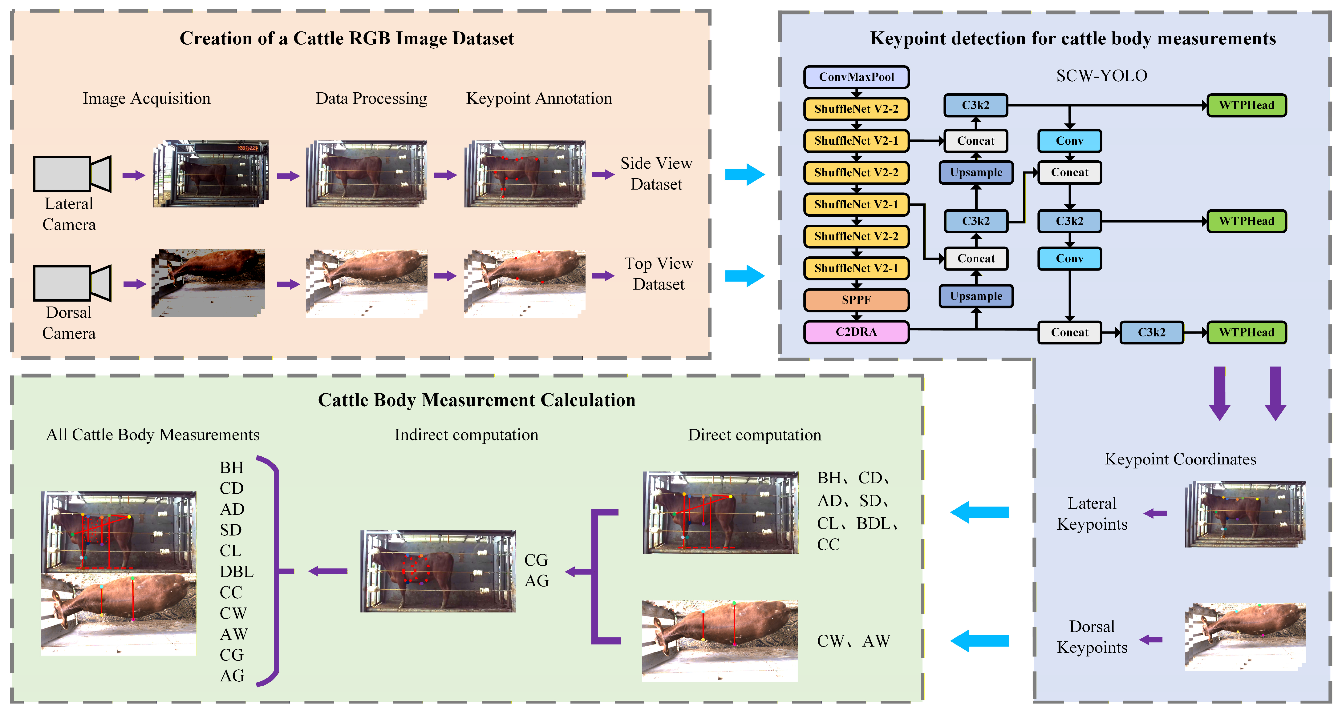 Symmetry 17 01926 g004