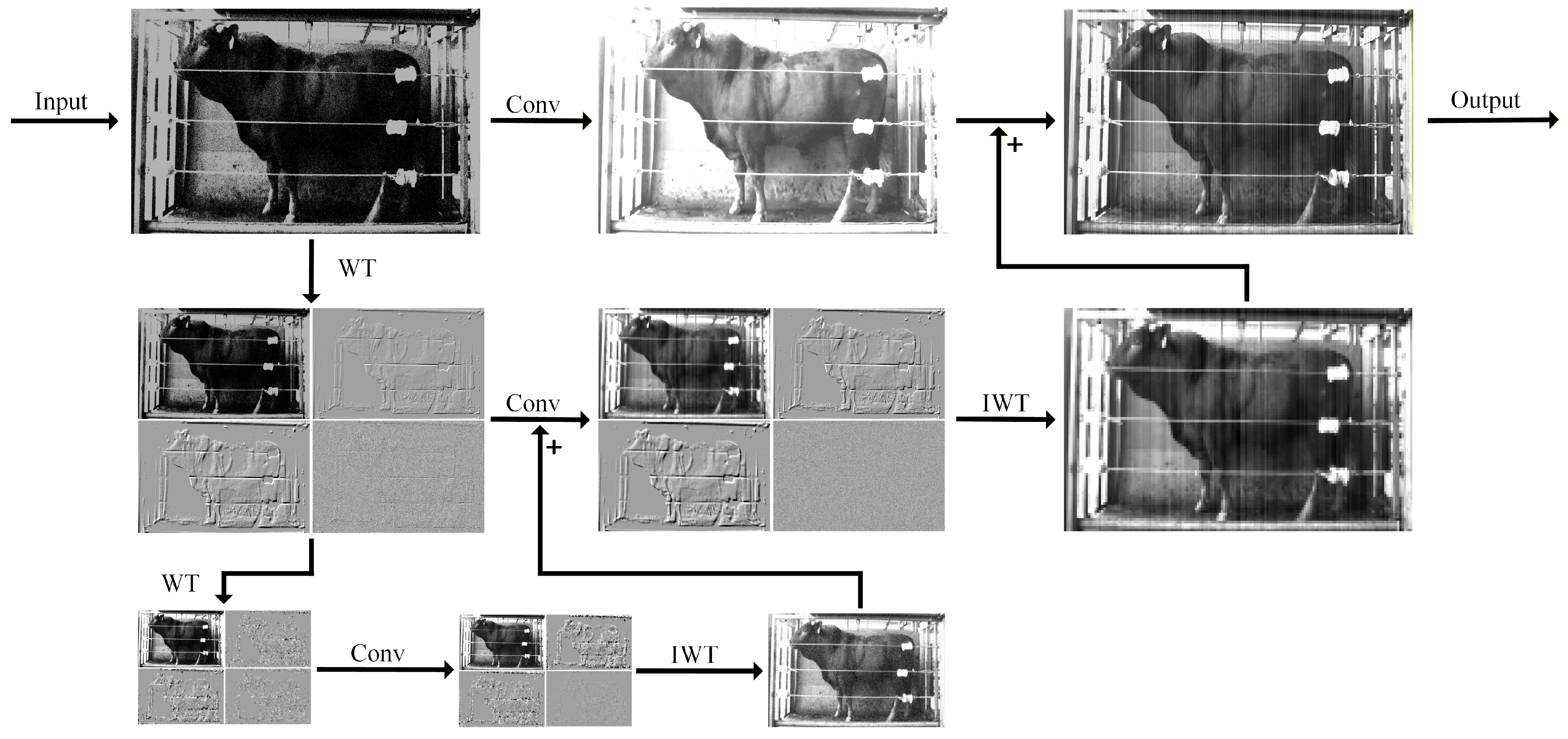 Symmetry 17 01926 g011