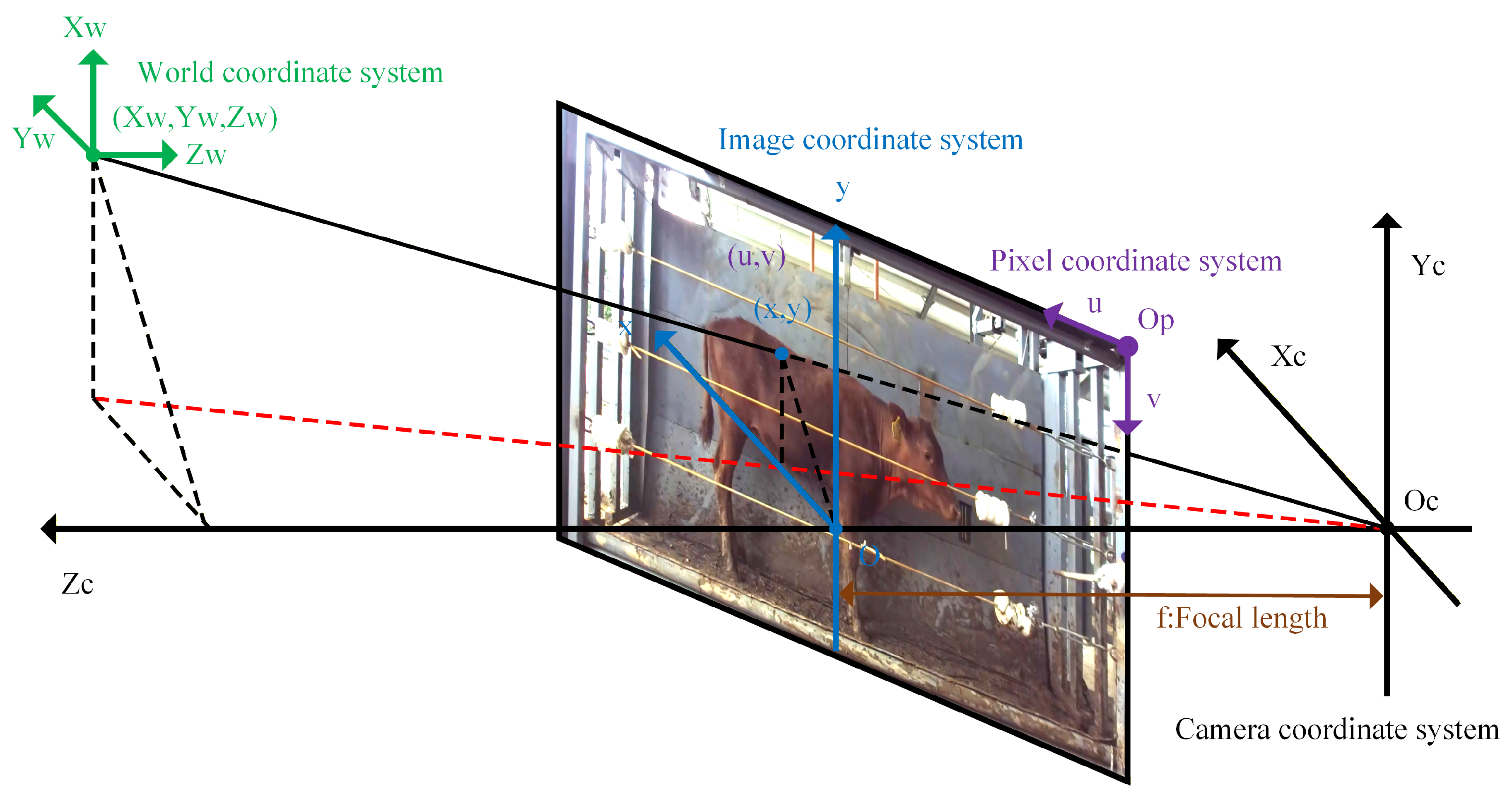 Symmetry 17 01926 g012