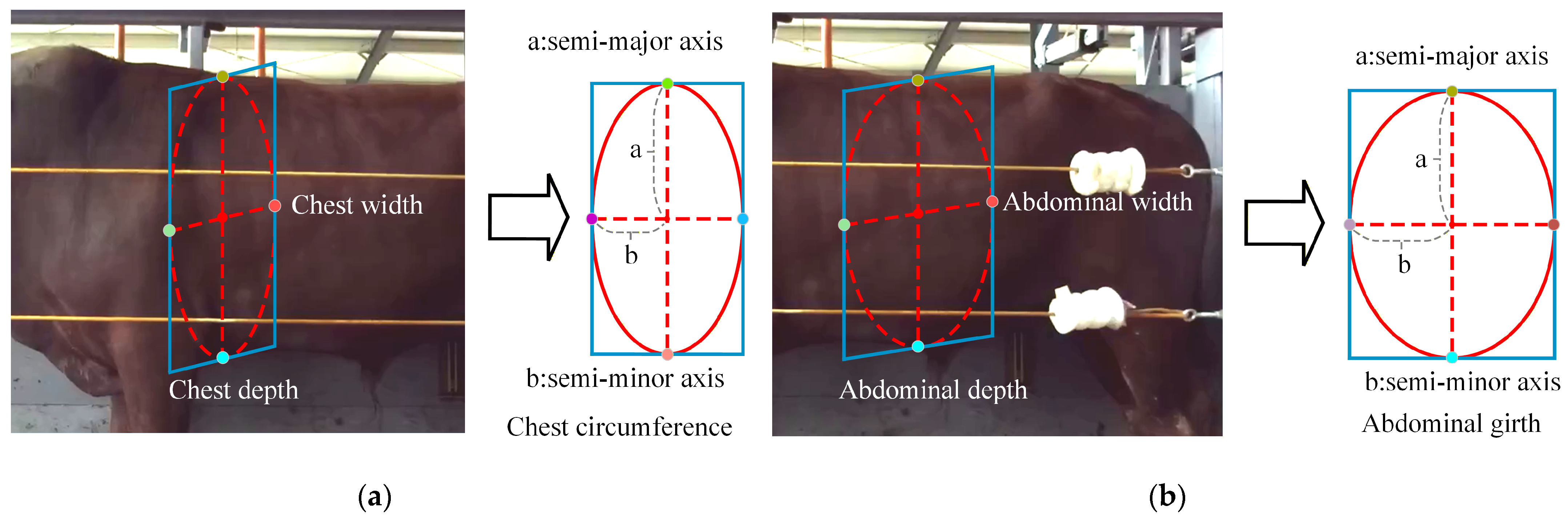Symmetry 17 01926 g013
