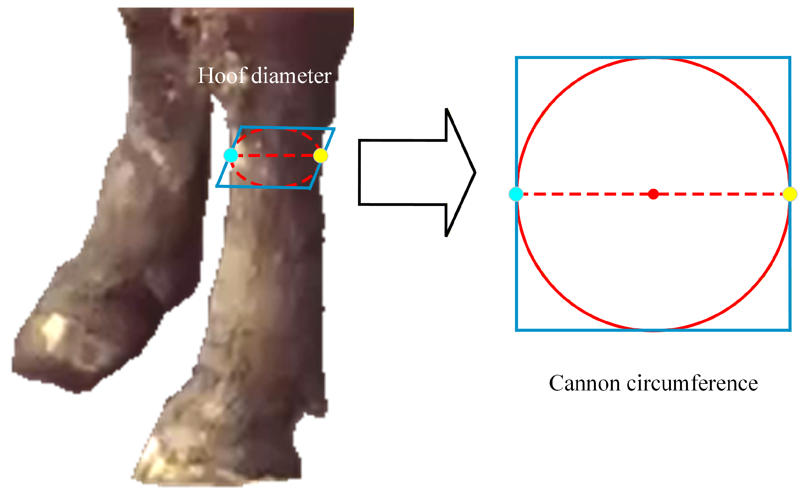 Symmetry 17 01926 g014