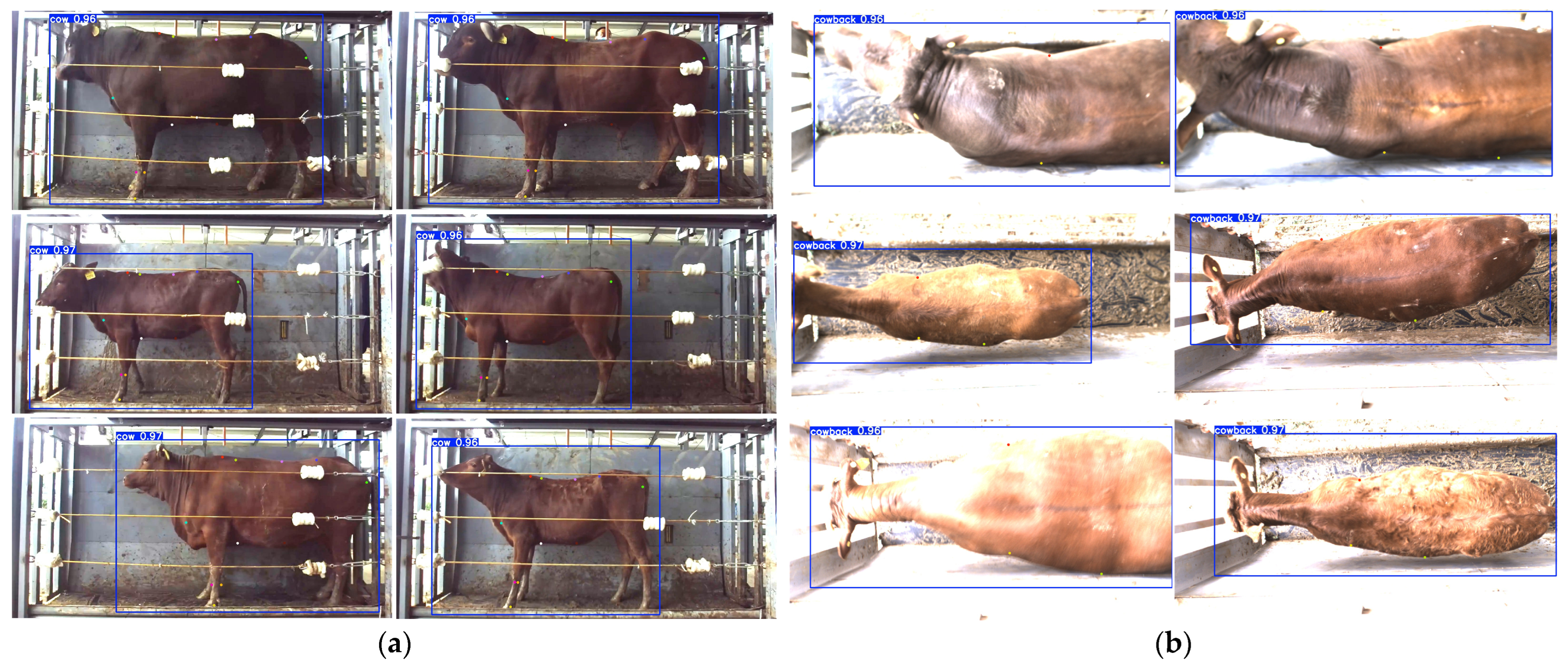 Symmetry 17 01926 g015