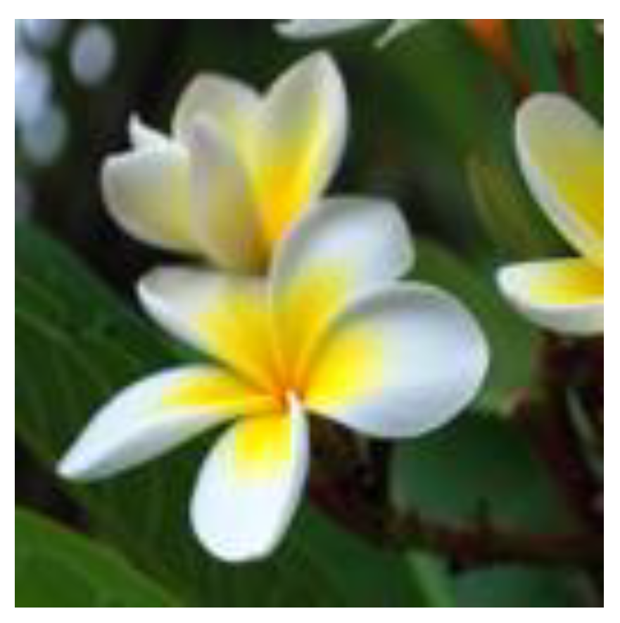 Symmetry 17 01940 g005