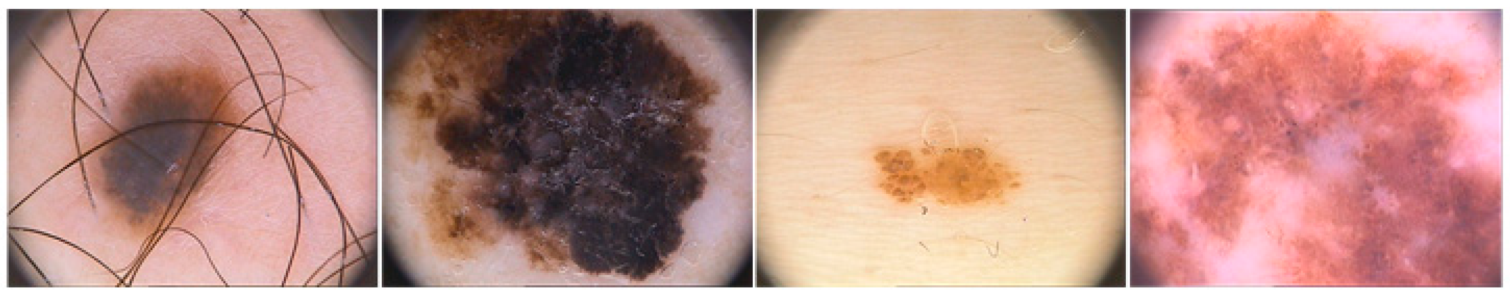 Symmetry 17 02002 g001