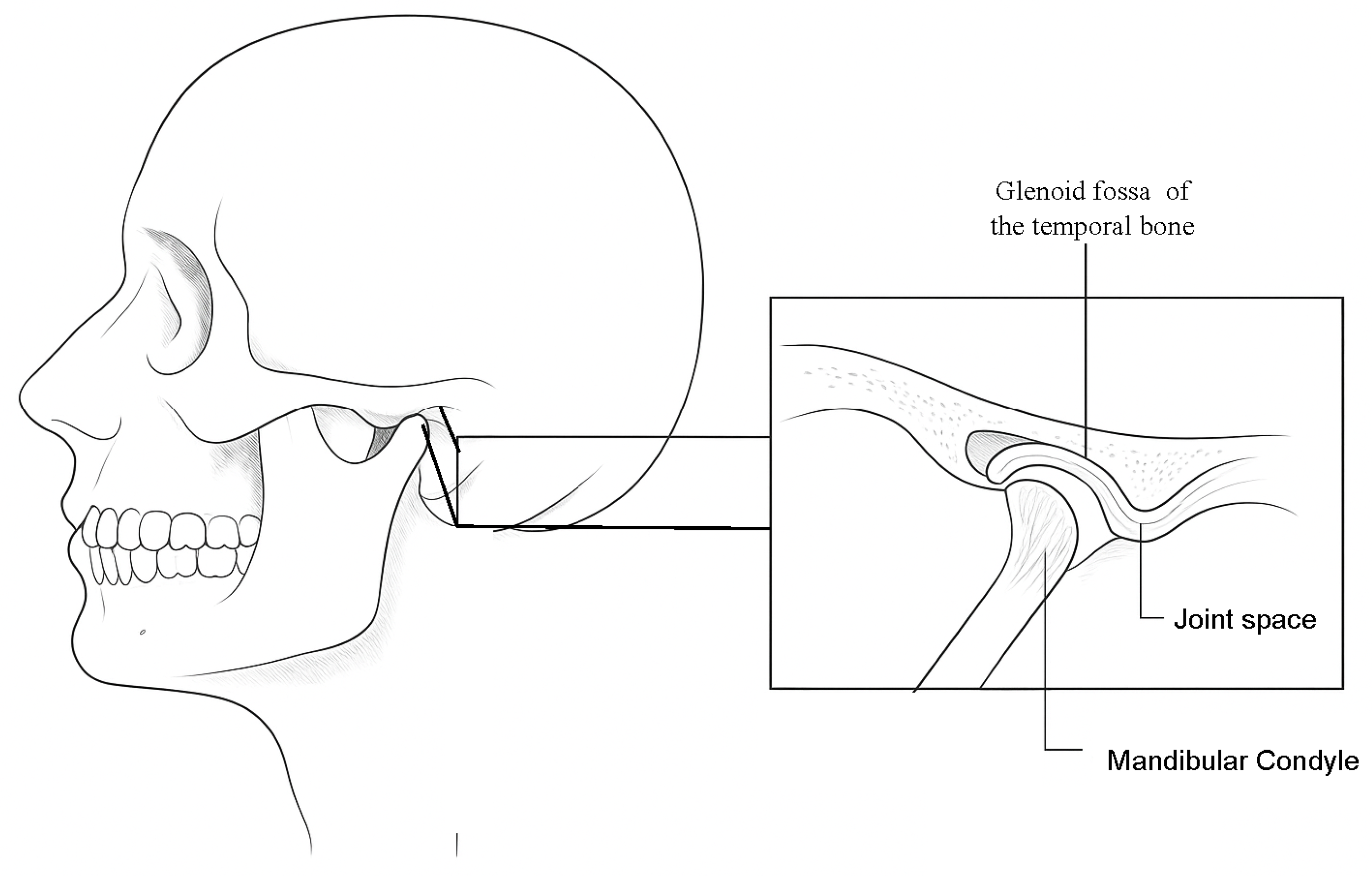 Symmetry 17 02014 g001