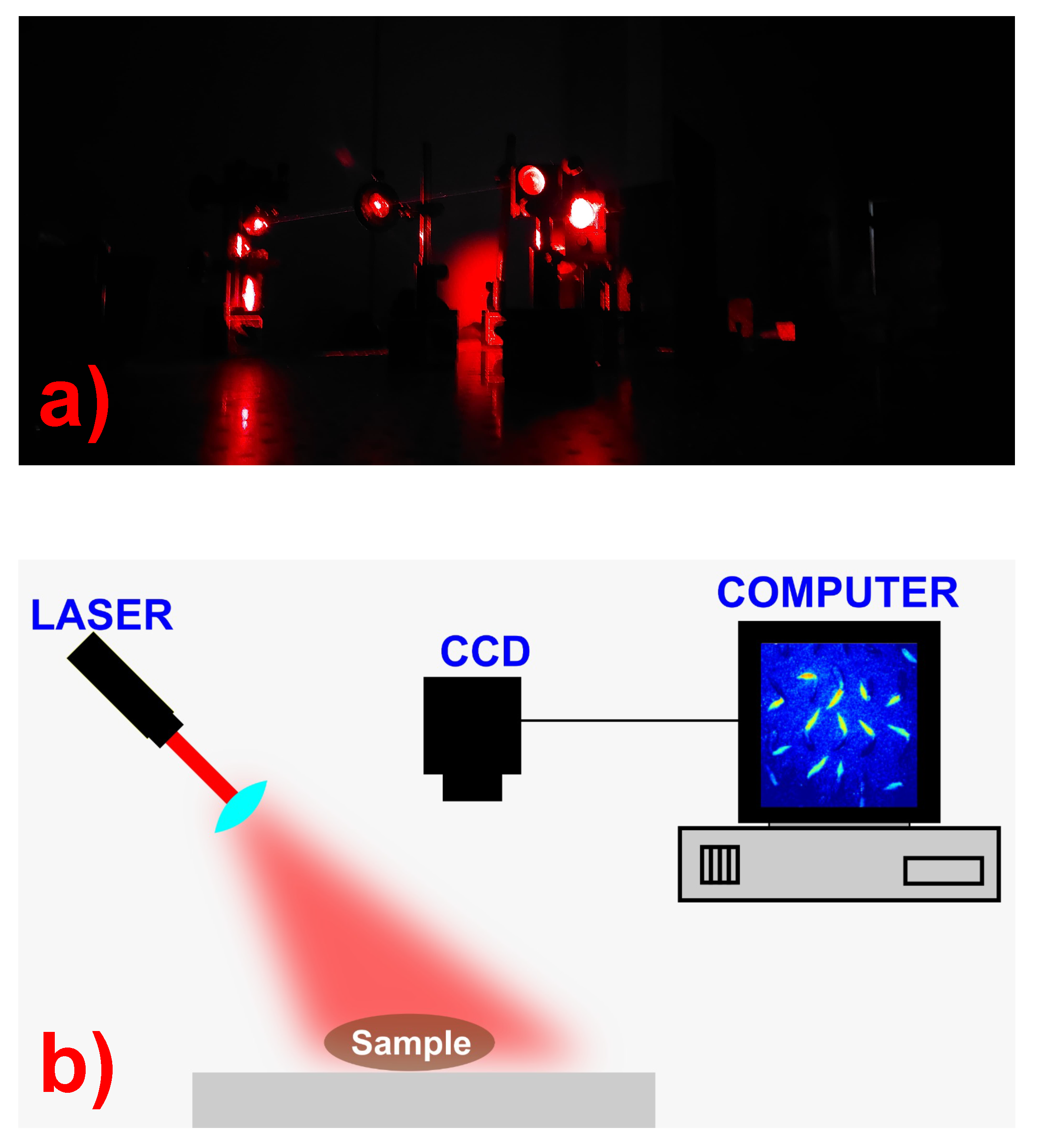 Symmetry 17 02029 g001