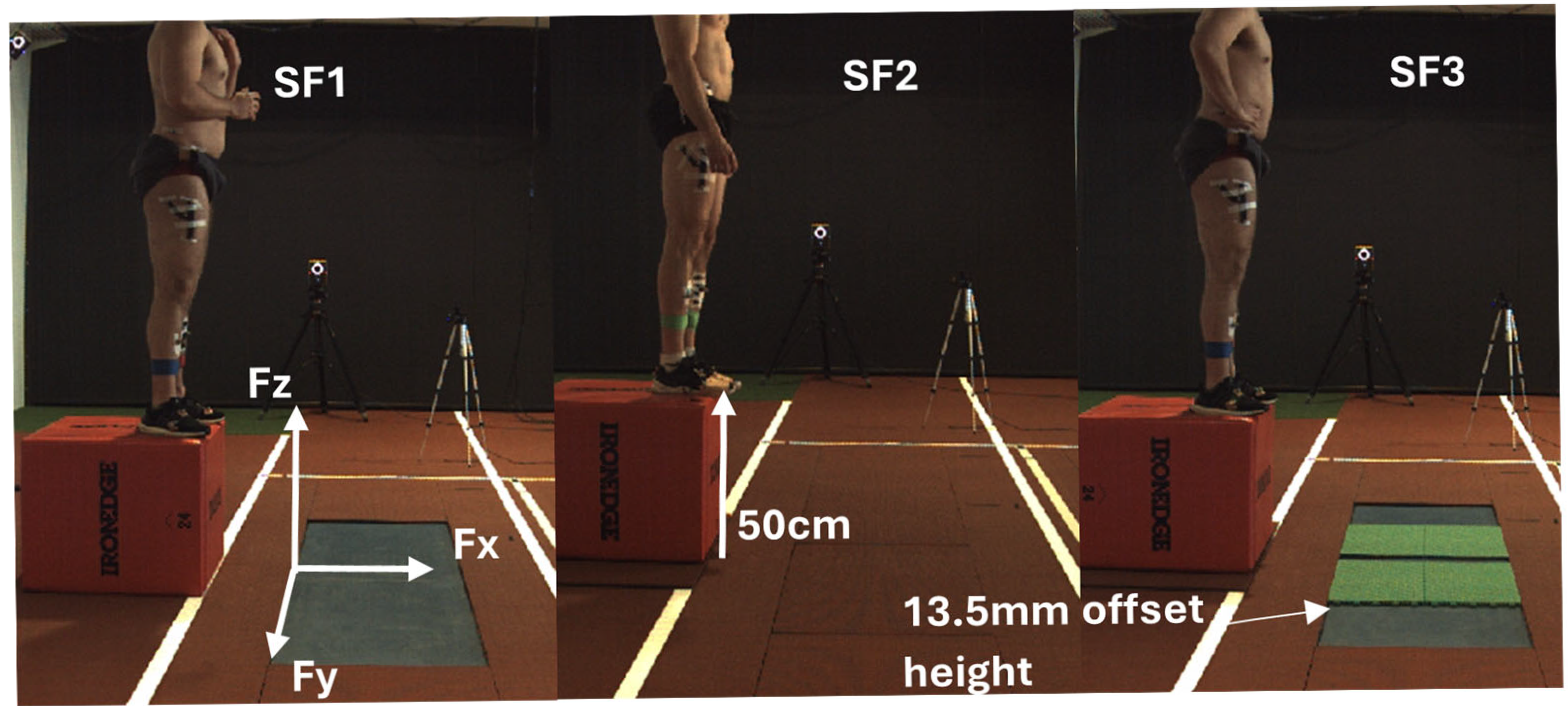 Symmetry 17 02045 g001