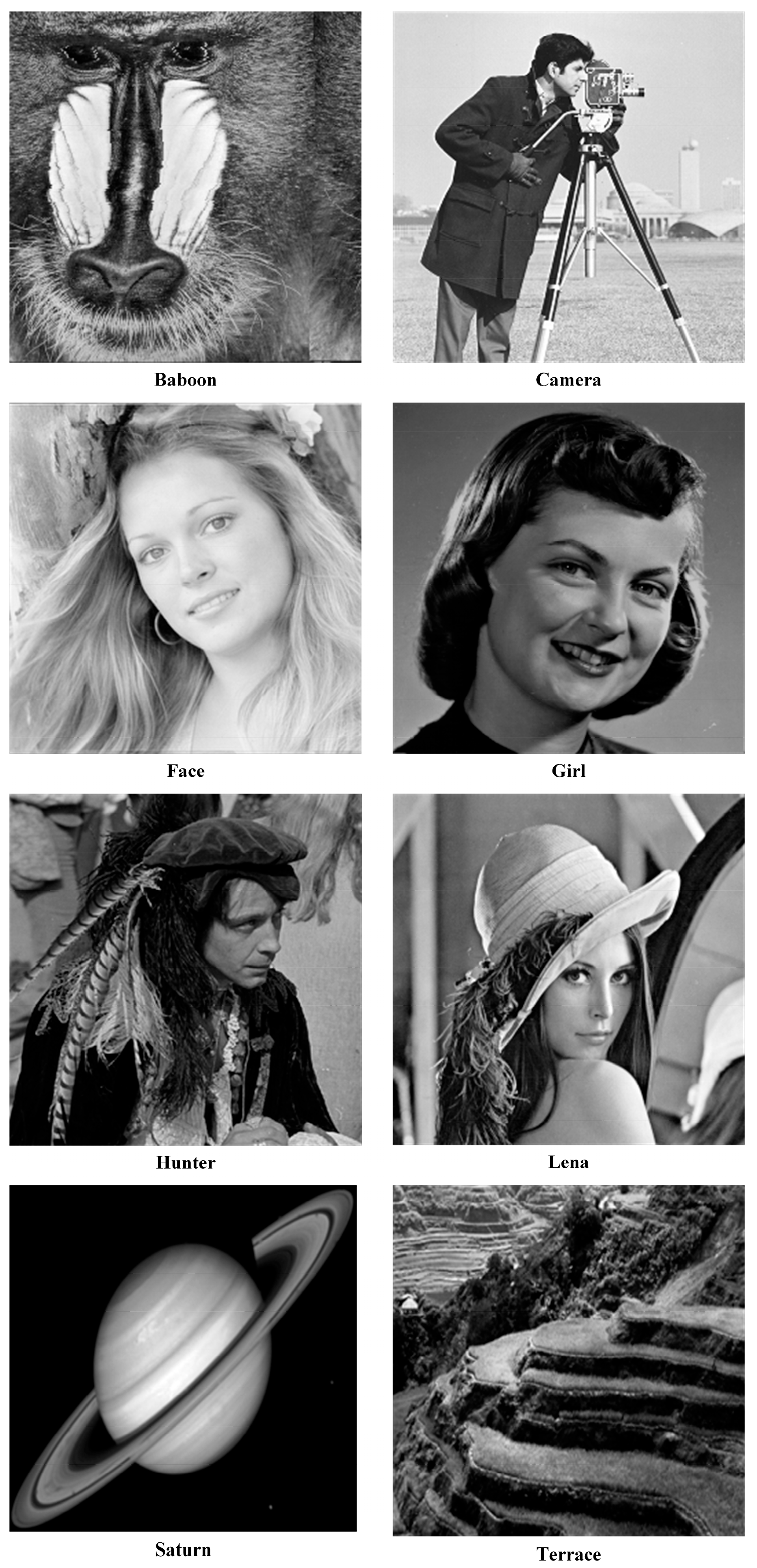 Symmetry 17 02130 g009