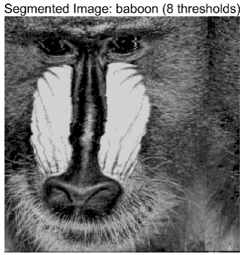 Symmetry 17 02130 i003