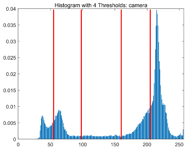 Symmetry 17 02130 i013