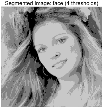 Symmetry 17 02130 i017