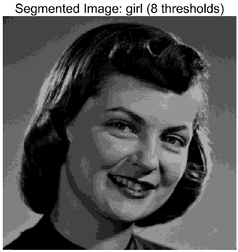 Symmetry 17 02130 i027