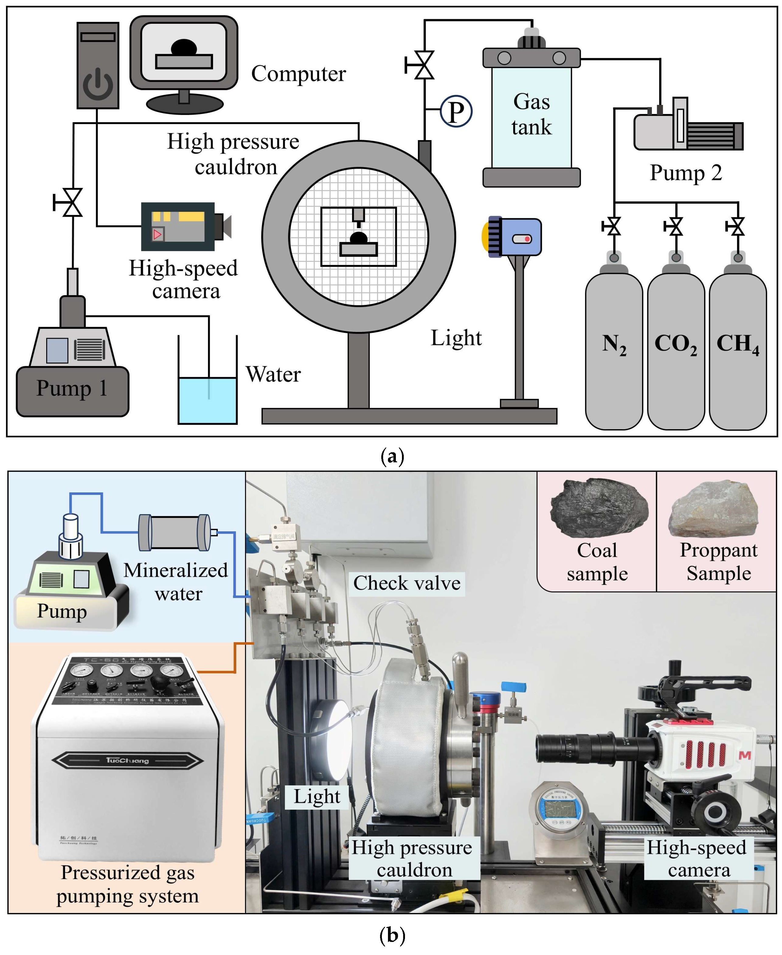 Symmetry 17 02156 g002