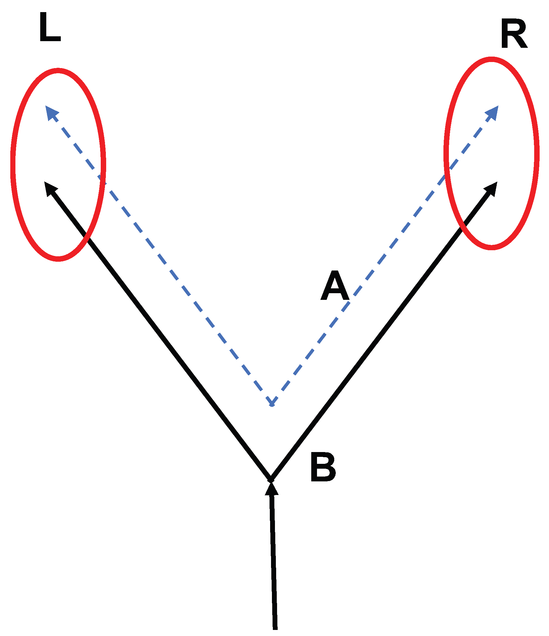 Symmetry 17 02179 g001